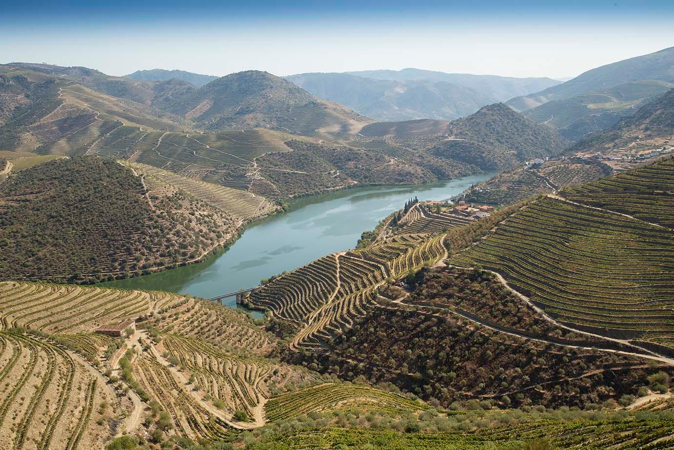 How the Douro Valley is driving Sogevinus’ still wines strategy 