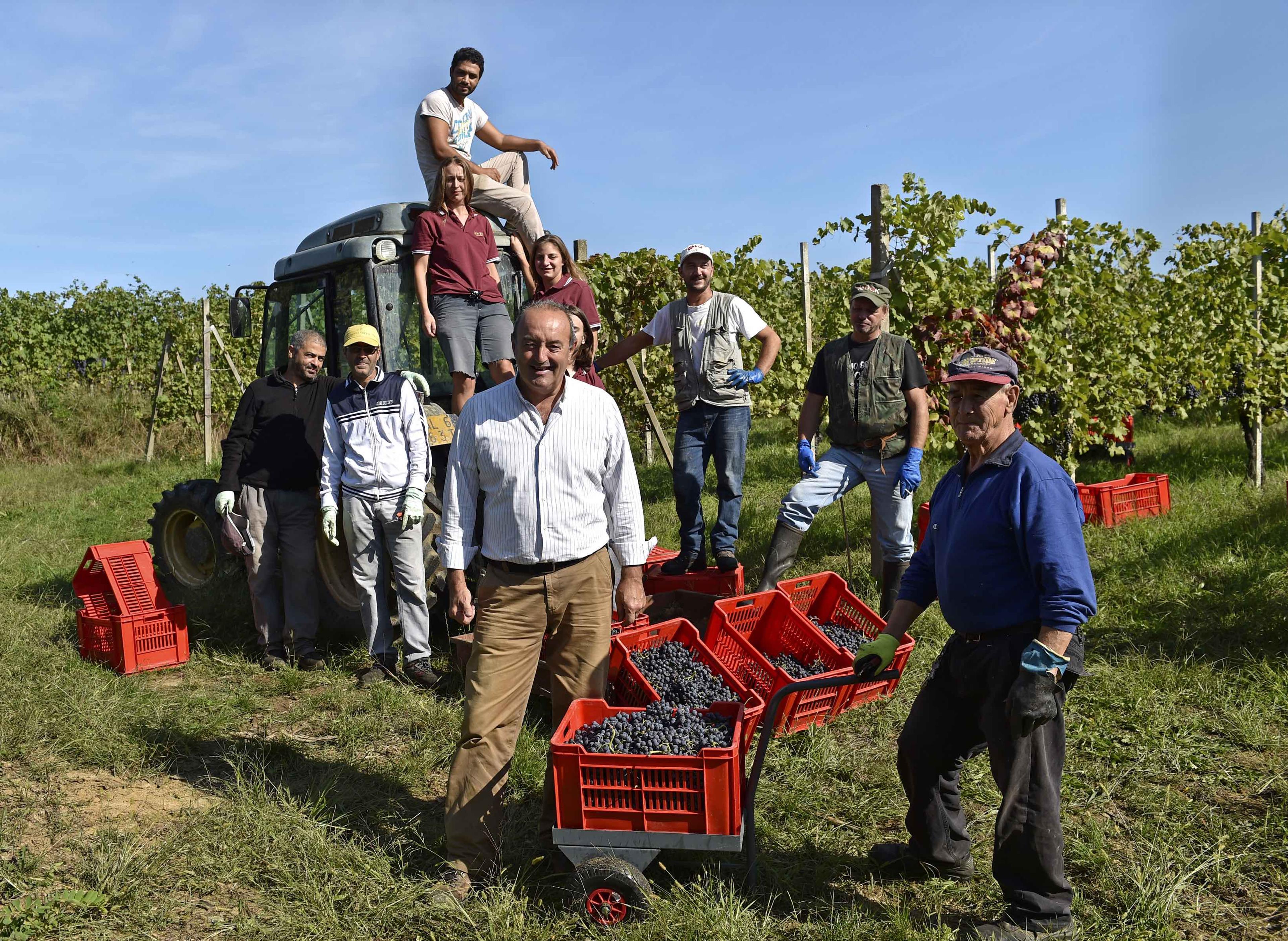 Paulo Rovellotti: how Nebbiolo is part of Piemonte’s DNA