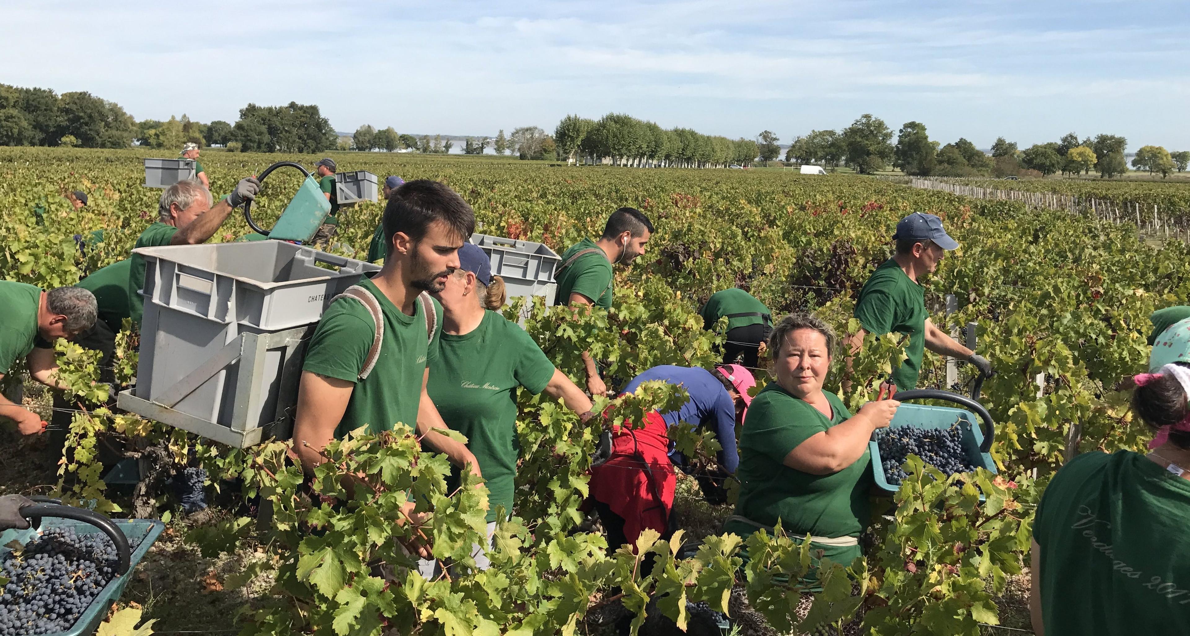 UK buyers first to taste Bordeaux 2017 at Grand Cercle tasting