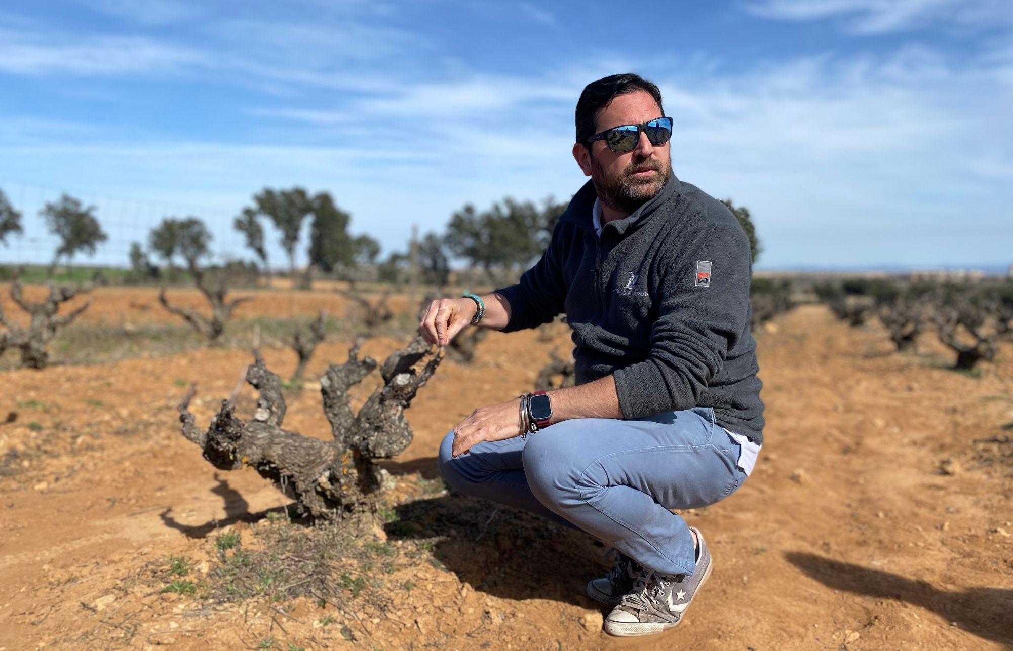 Why altitude is now key for Ribera del Duero’s wines