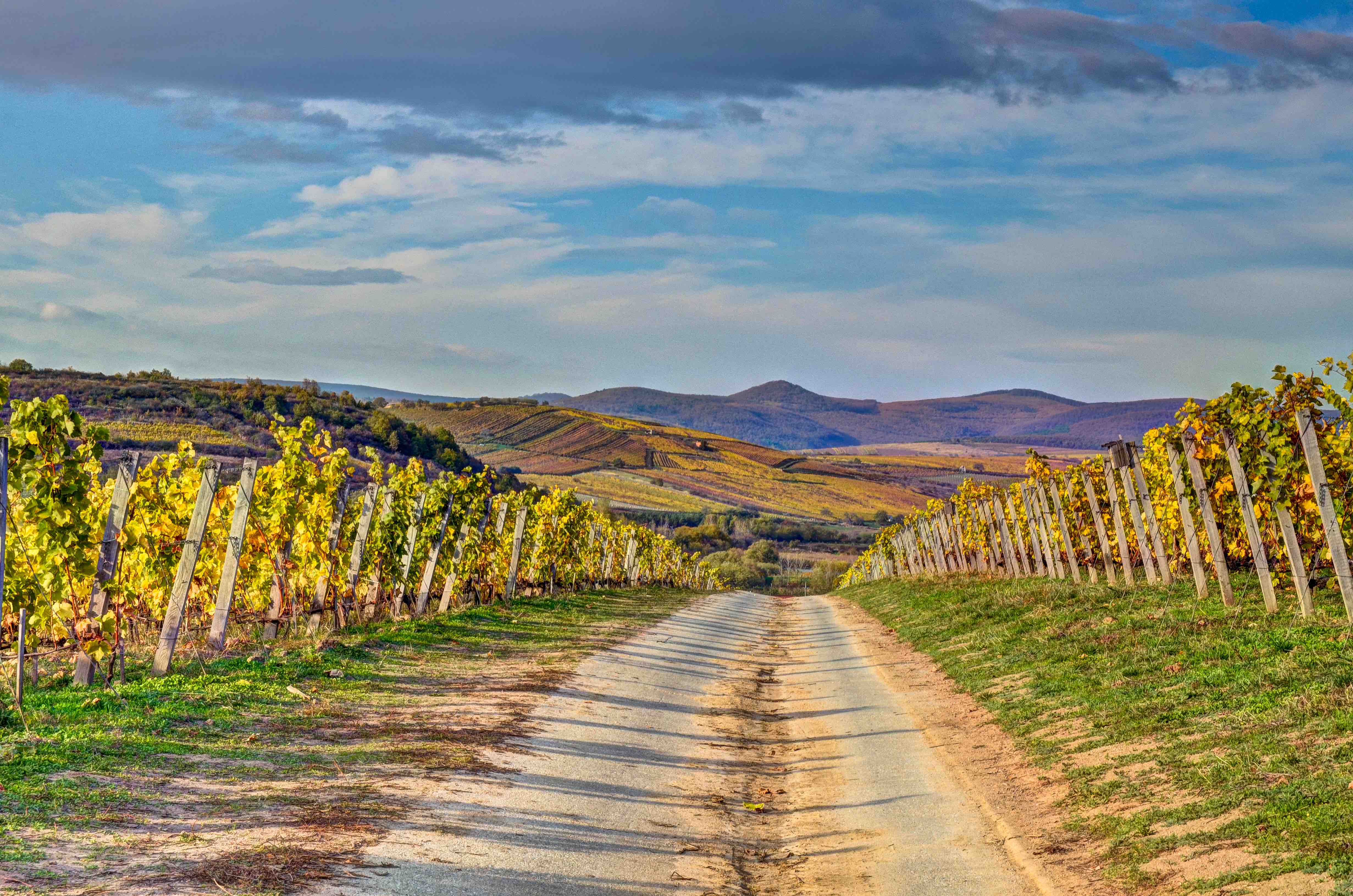 Why you need to visit Tokaj: winelands, gastronomy and more