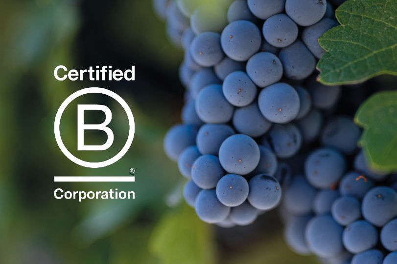 How and why wine businesses are following a B Corp strategy