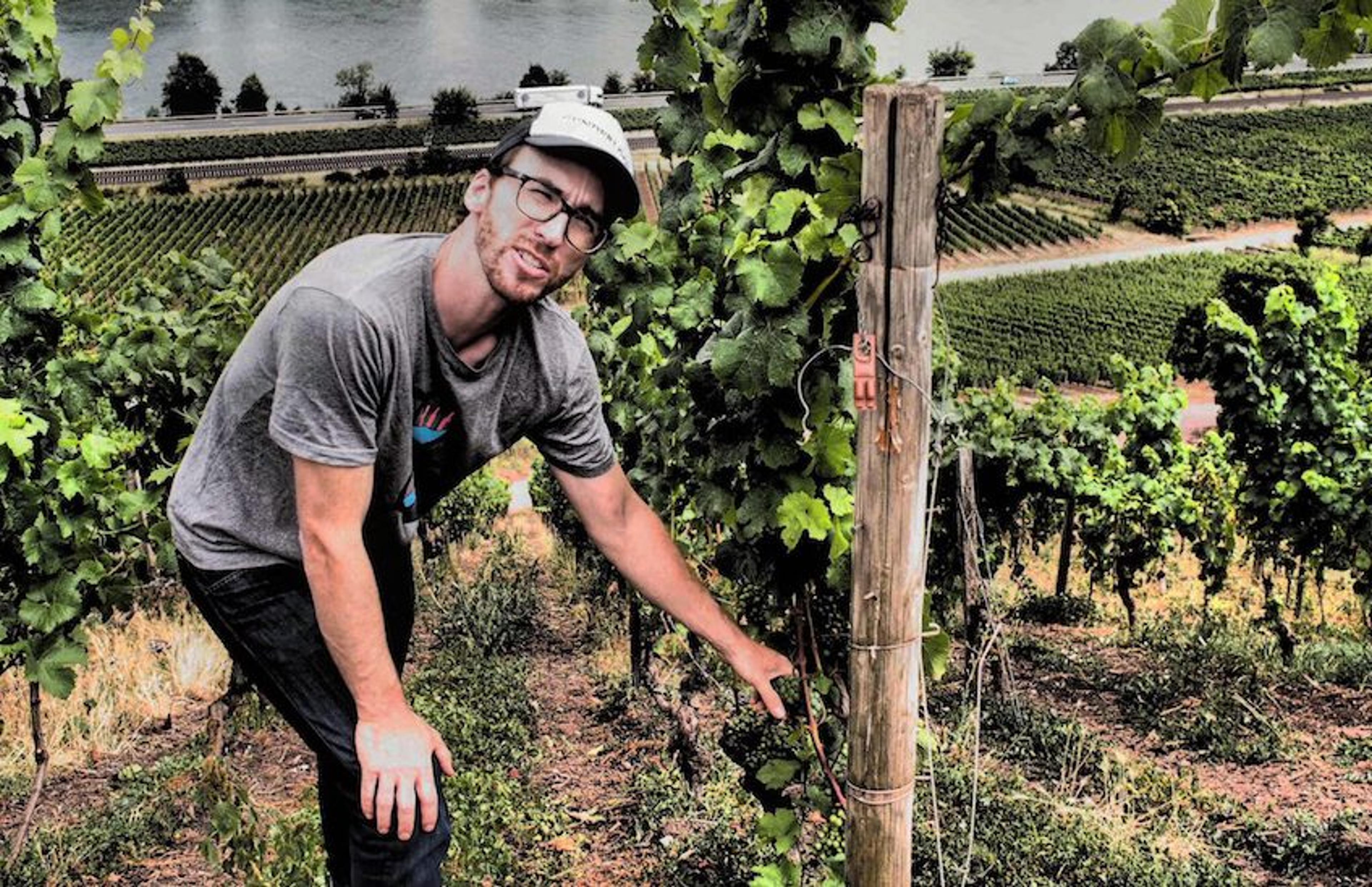 How new thinking is changing the styles of German Riesling