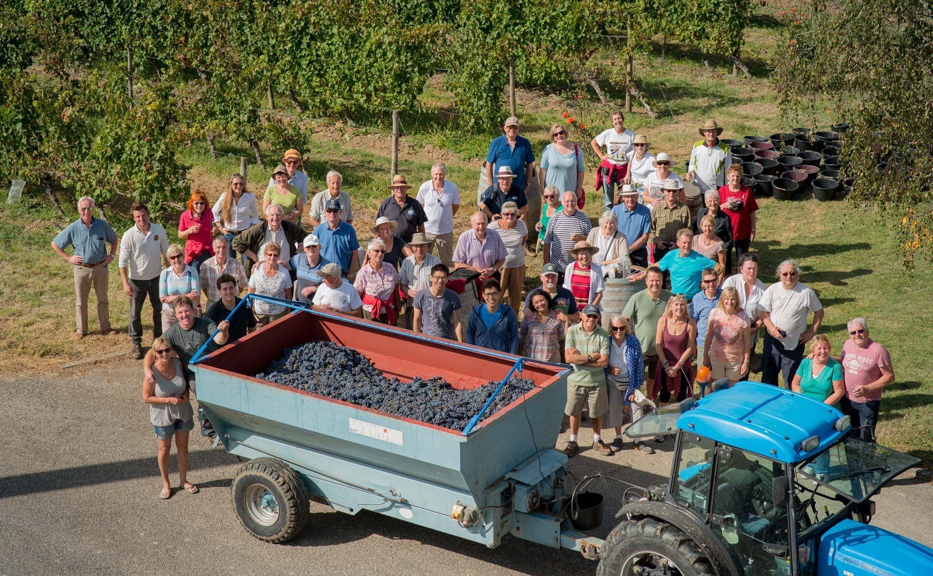 Crowd-funding helps Phillip Addis revive French vineyard   