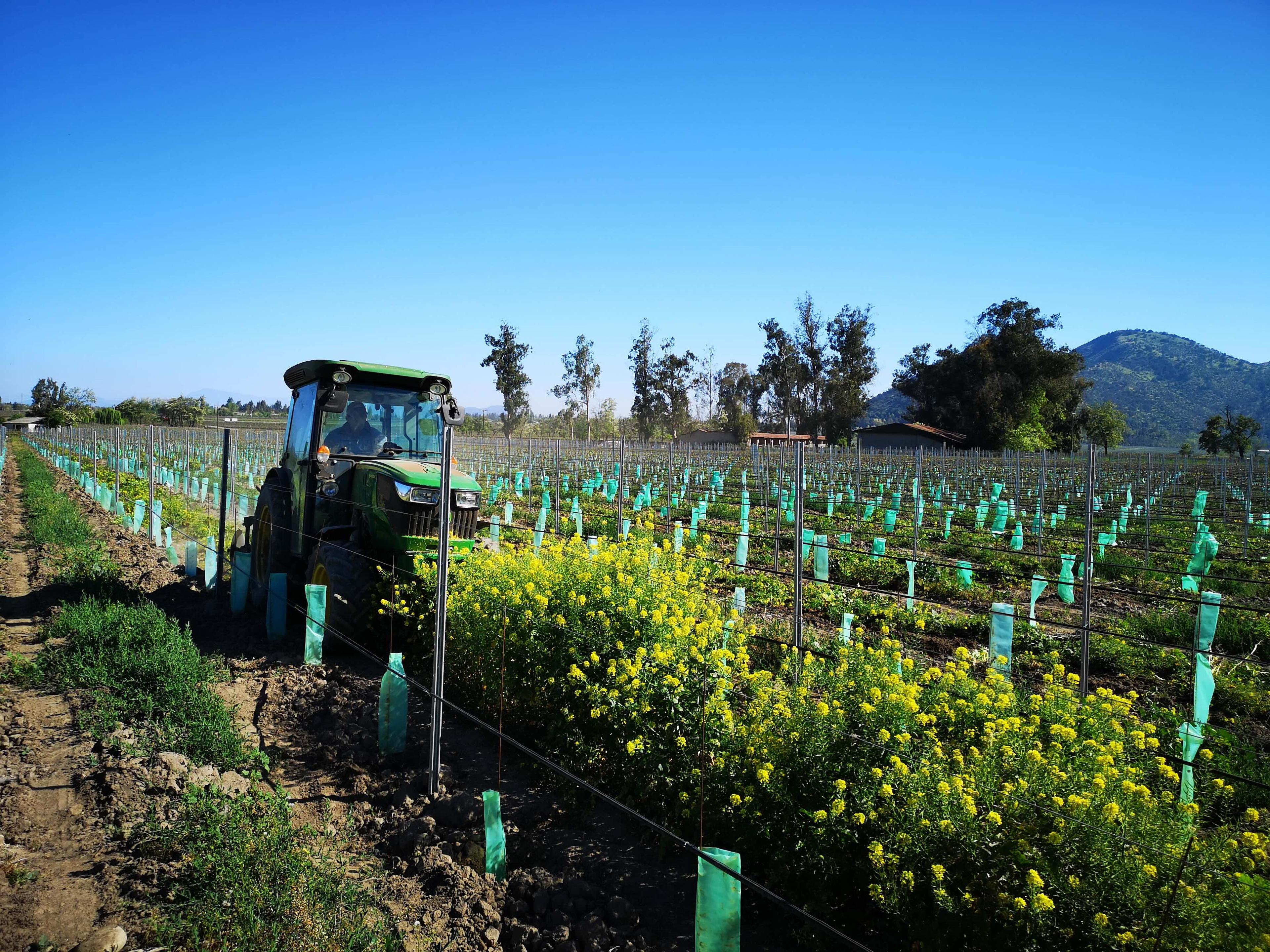 Global sustainability award backs Santa Rita's environmental actions