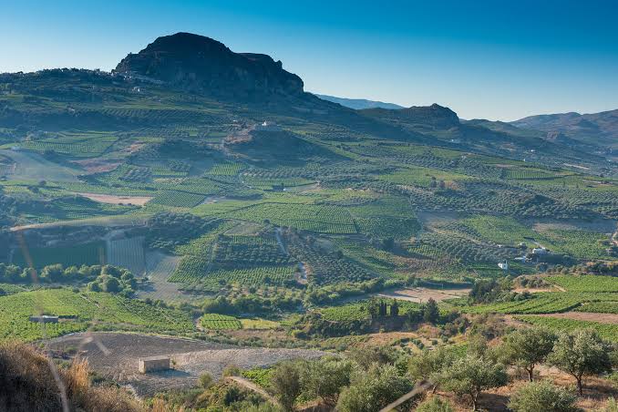 Why Crete’s wines and producers are Greece’s best kept secrets