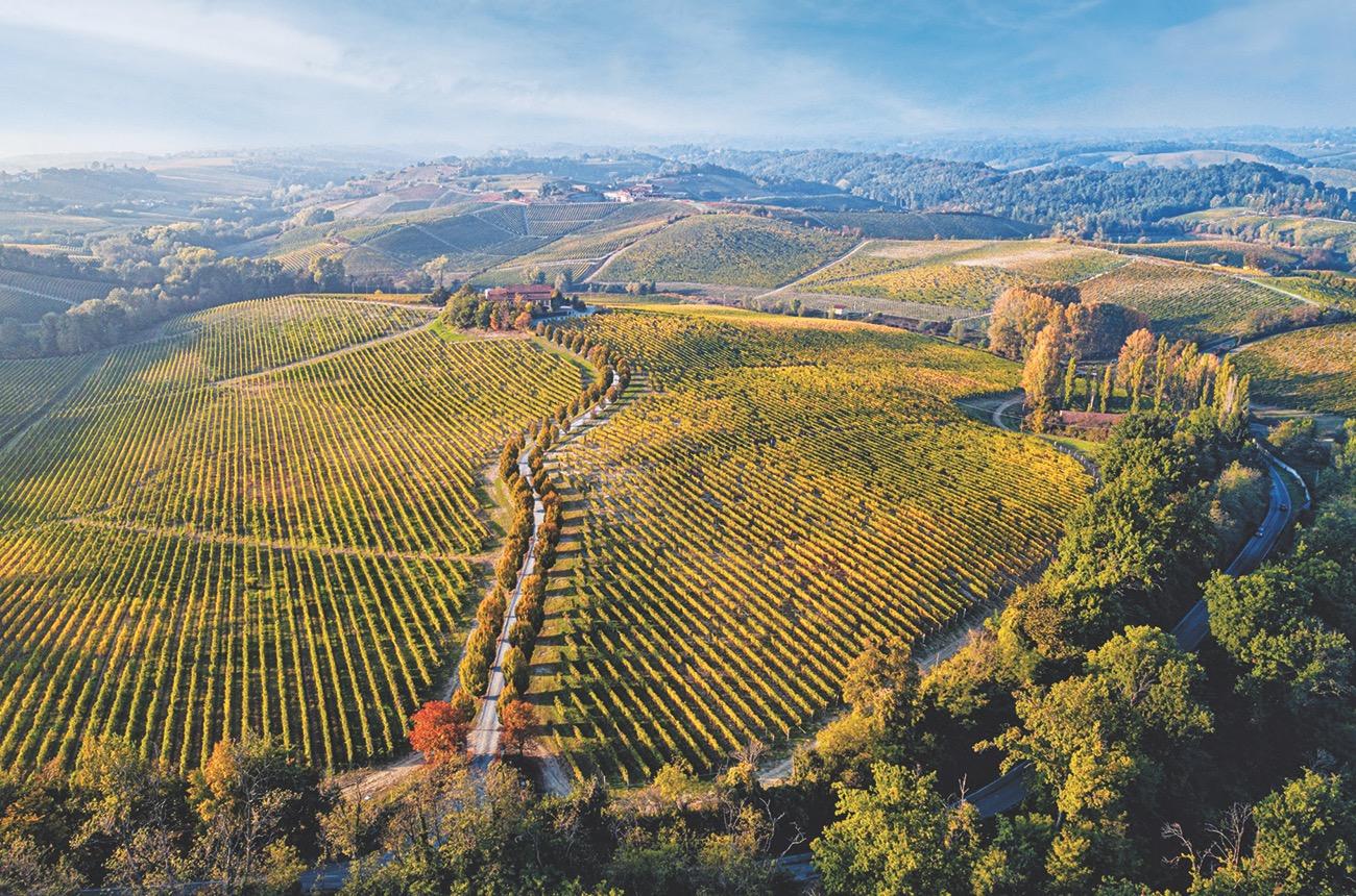 Mike Turner on why there’s much more to Gavi than meets the eye