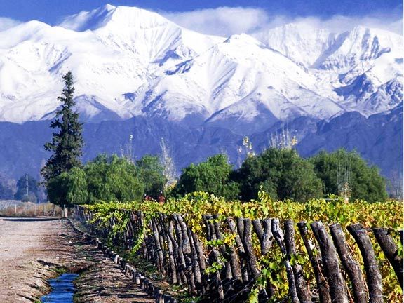 Wines of Chile tasting proved it’s a country to follow closely