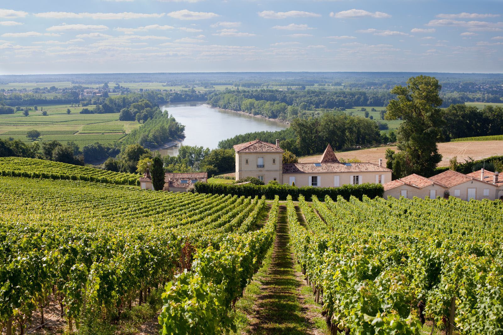 How Château Biac has become a rising star of Côtes de Bordeaux