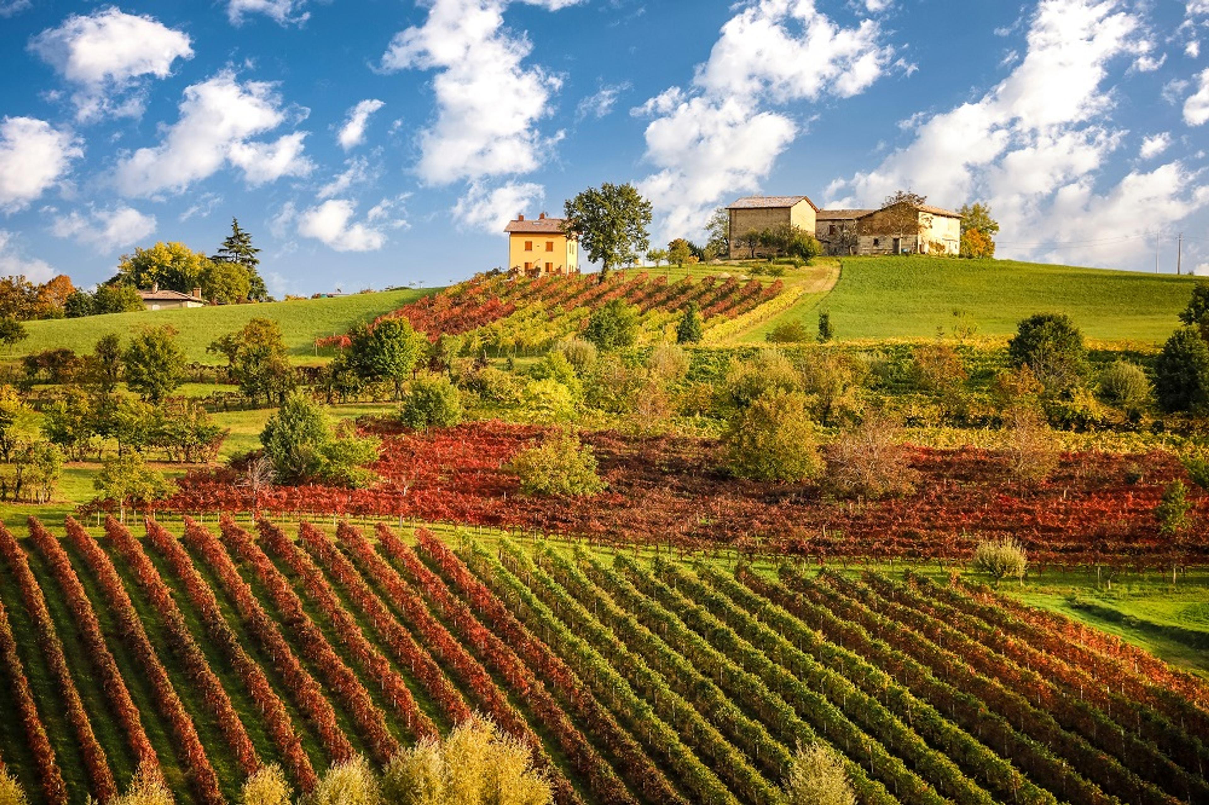 Why it's time to shine the light on Lambrusco at first major UK tasting   