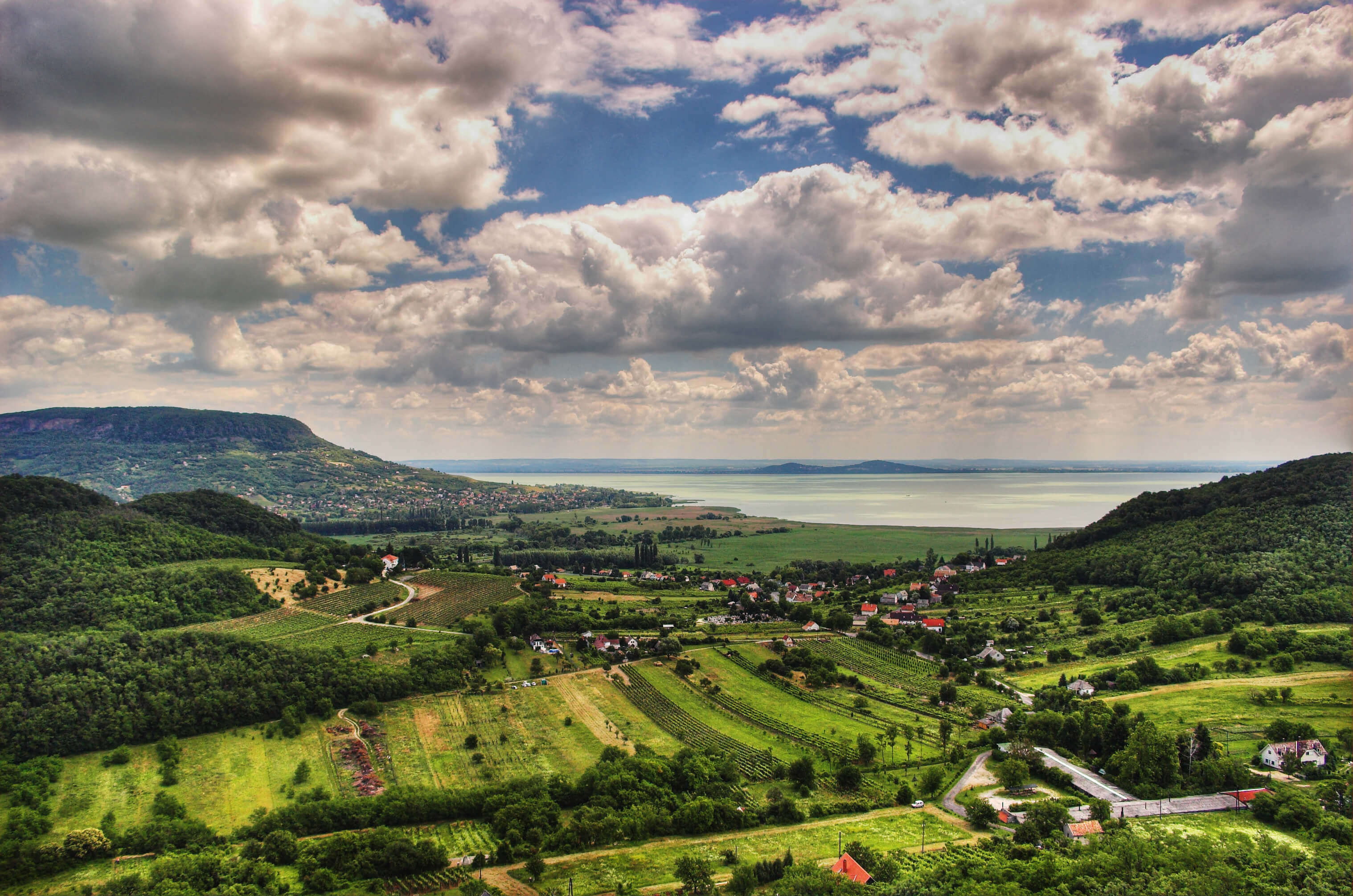 New generation of winemakers are transforming Hungarian wines