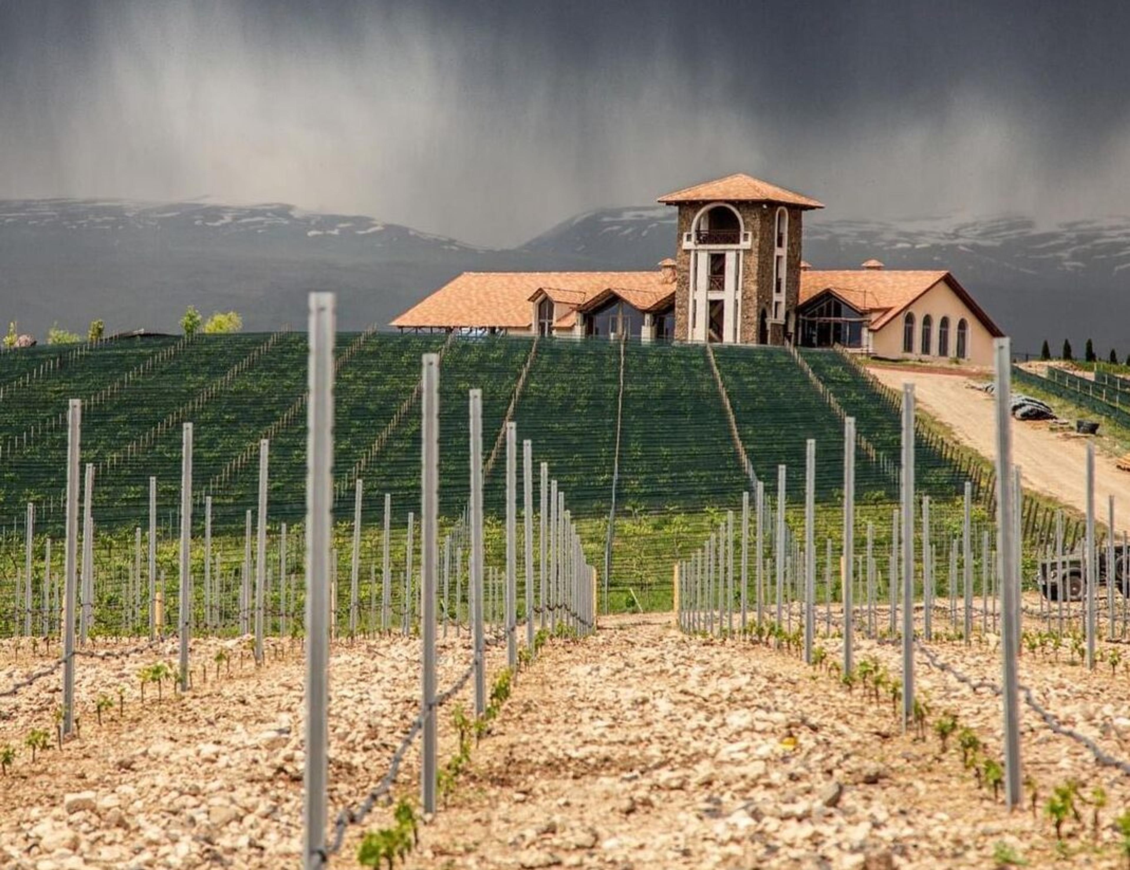 How GInVino’s Armenian wines are perfect fit for the on-trade