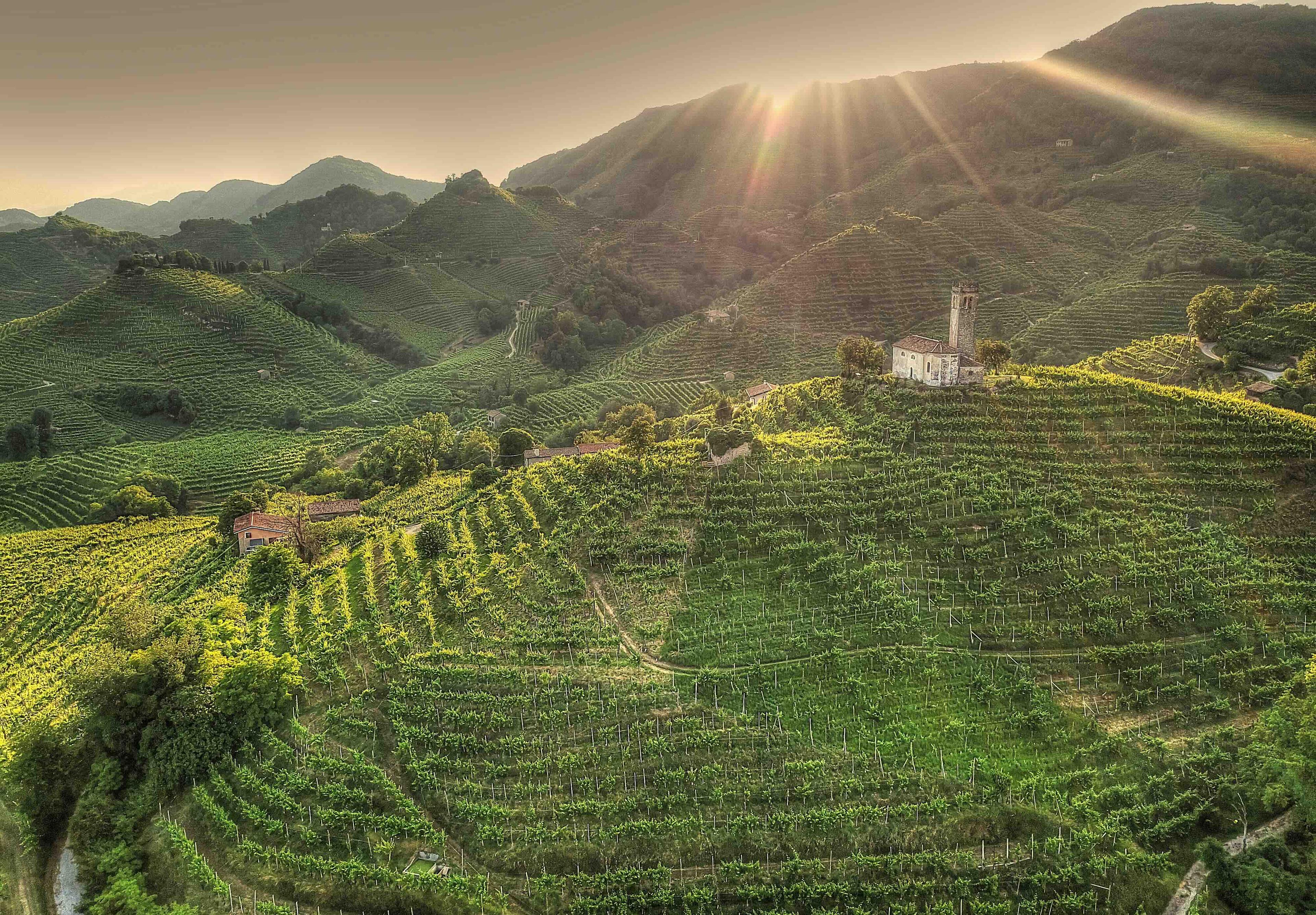 Follador Prosecco on making sparkling wines to rival world's best