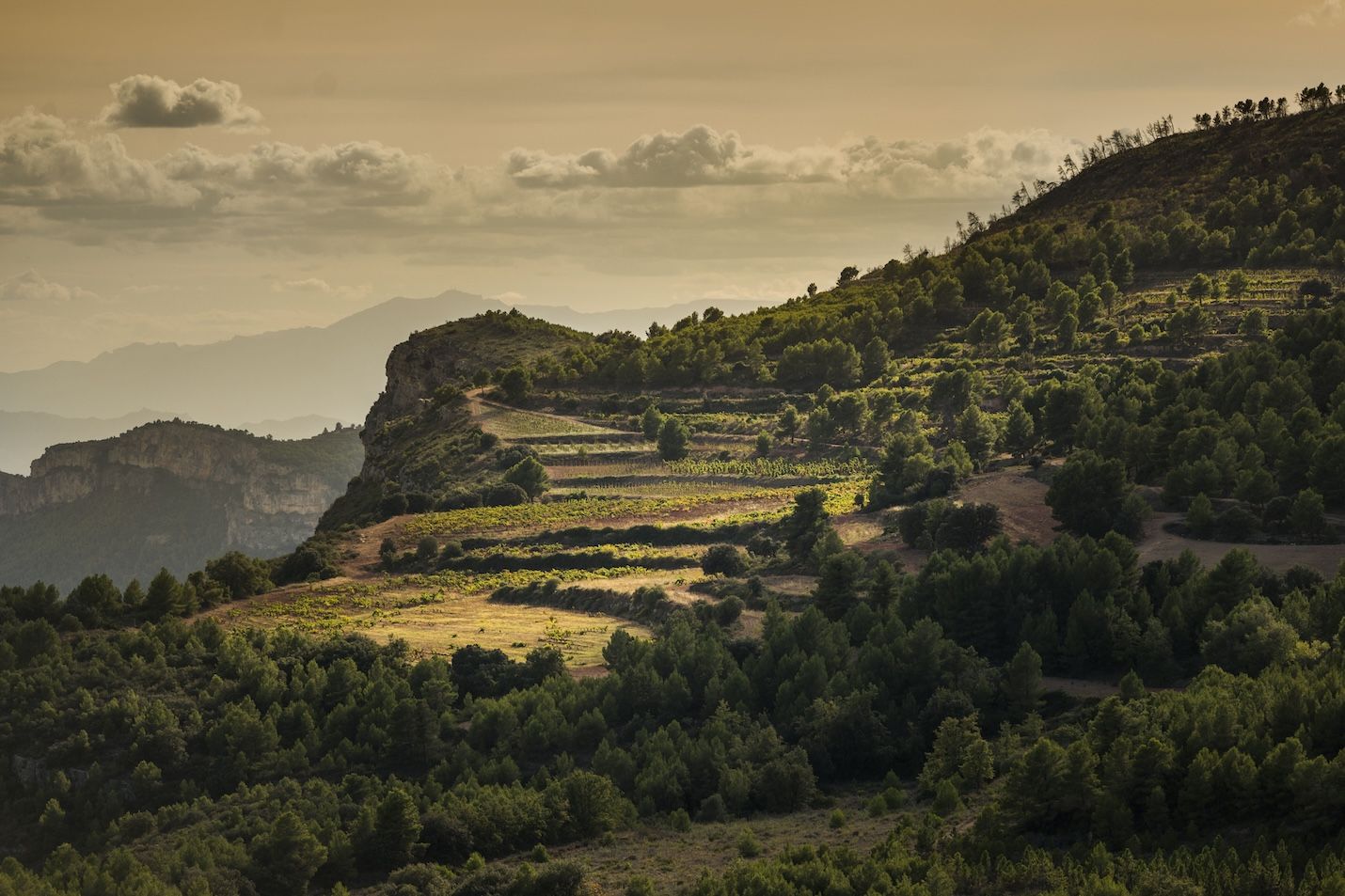 Justin Keay: Why Priorat's Scala Dei is looking for help 'from above'