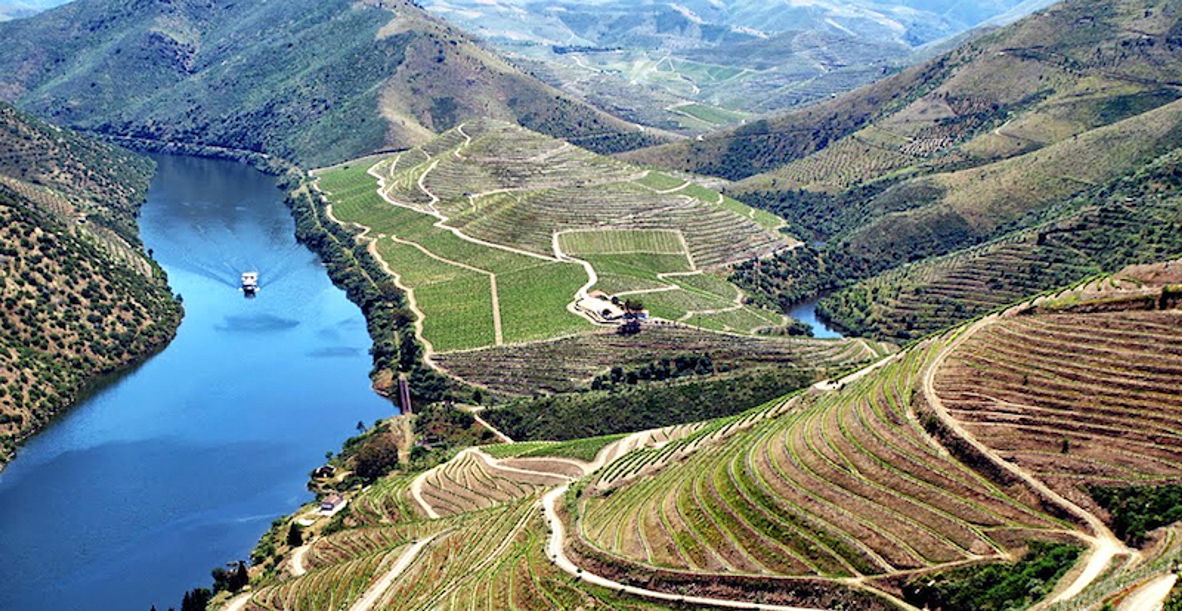 David Kermode: Is 2017 Vintage Port all it’s cracked out to be?