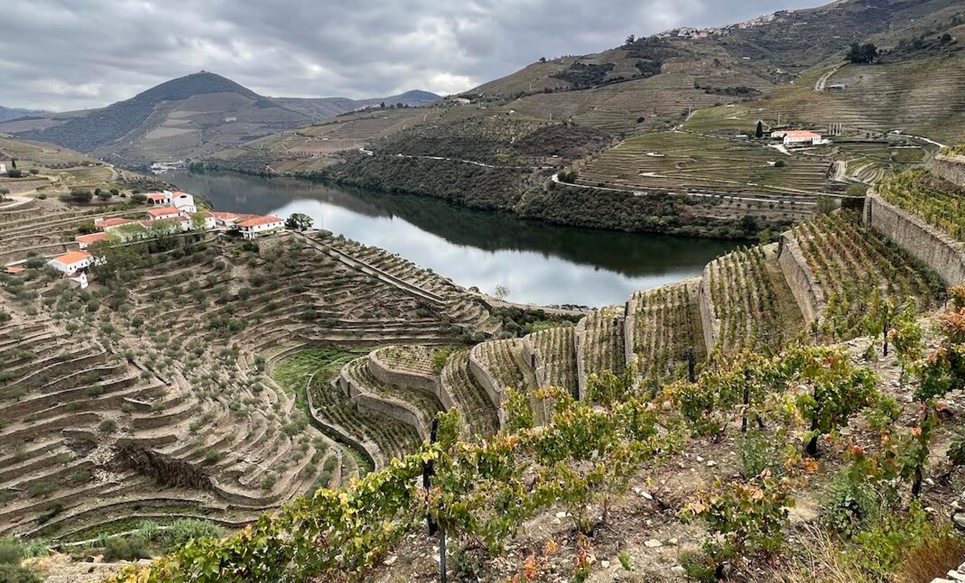 Quinta da Boavista: a rare visit to this most iconic of Douro estates