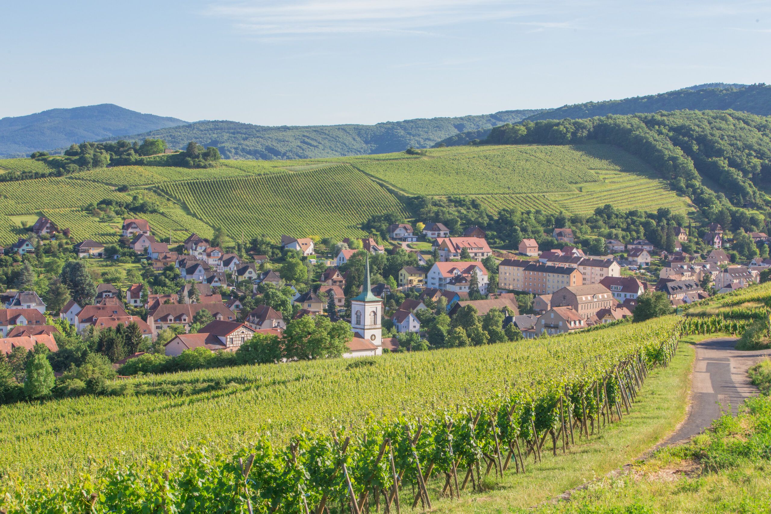 IWSC’s judging team pick the best of the best from Alsace
