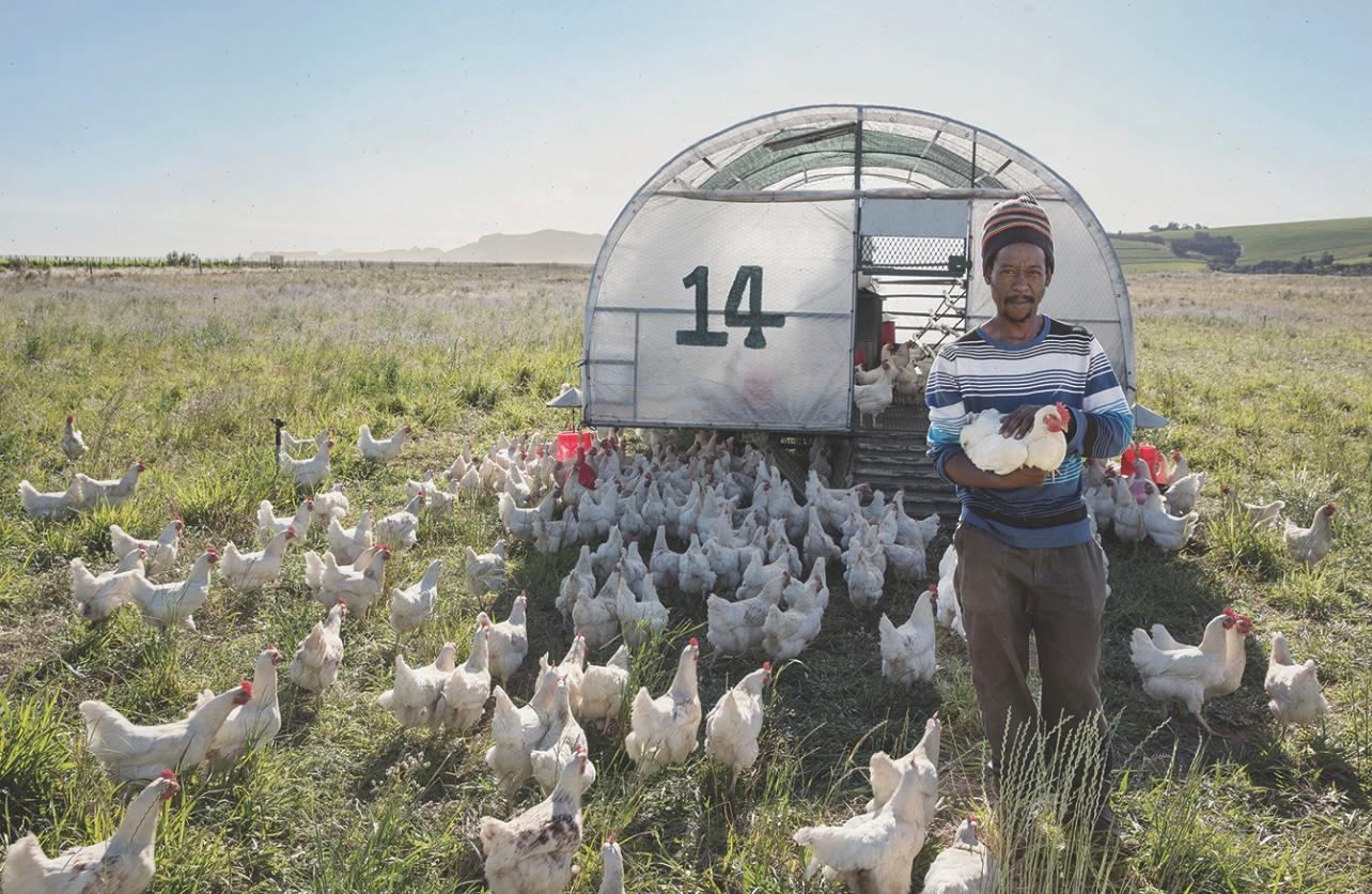 How social conscience is key to Spier’s business model in SA