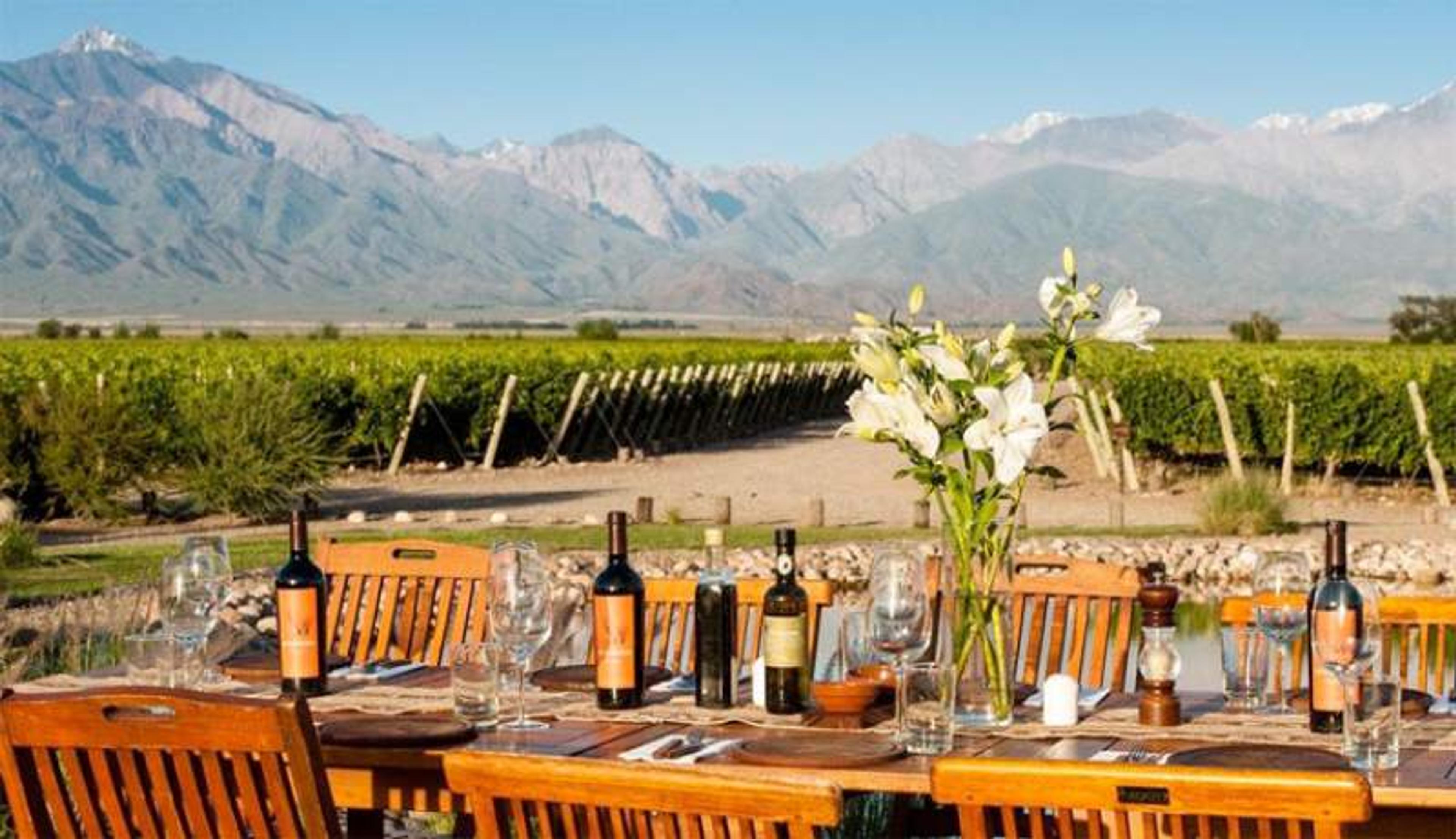 Argentine wineries using restaurants to showcase offer
