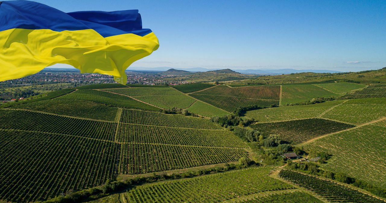 How Ukraine is finding markets for its wines against the odds