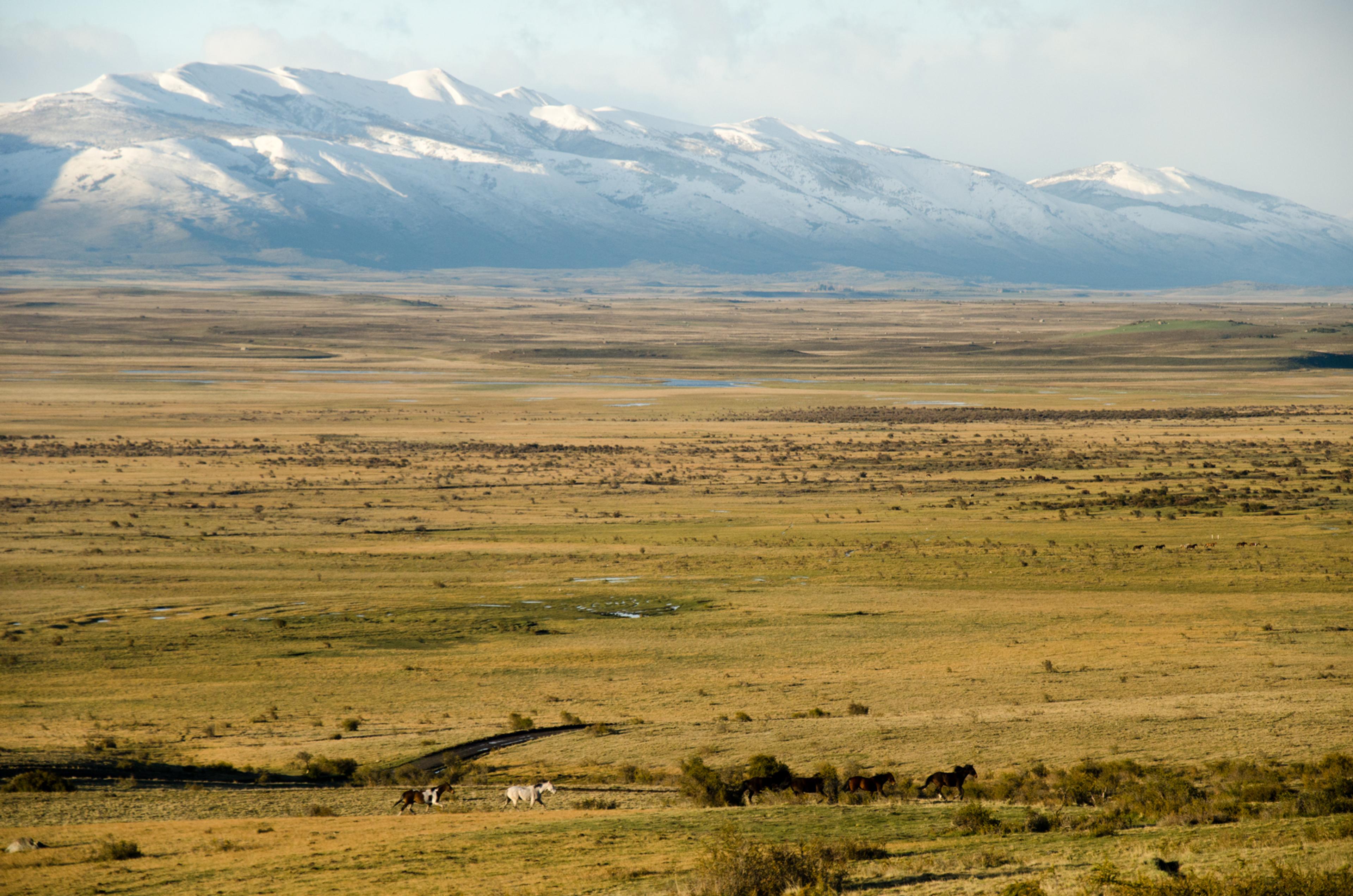 The Buyer trip: Putting Patagonia on Argentina’s wine map