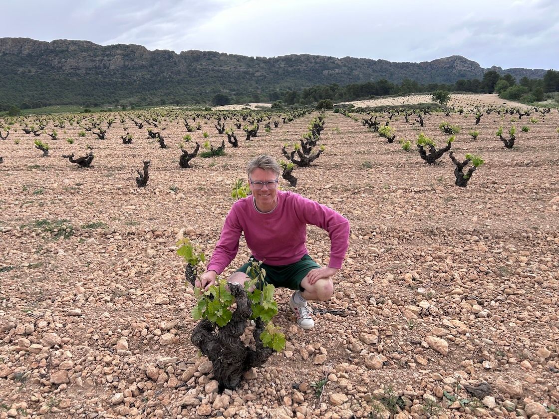 Chris Wilson explores Jumilla and Almansa with Gil Family Estates