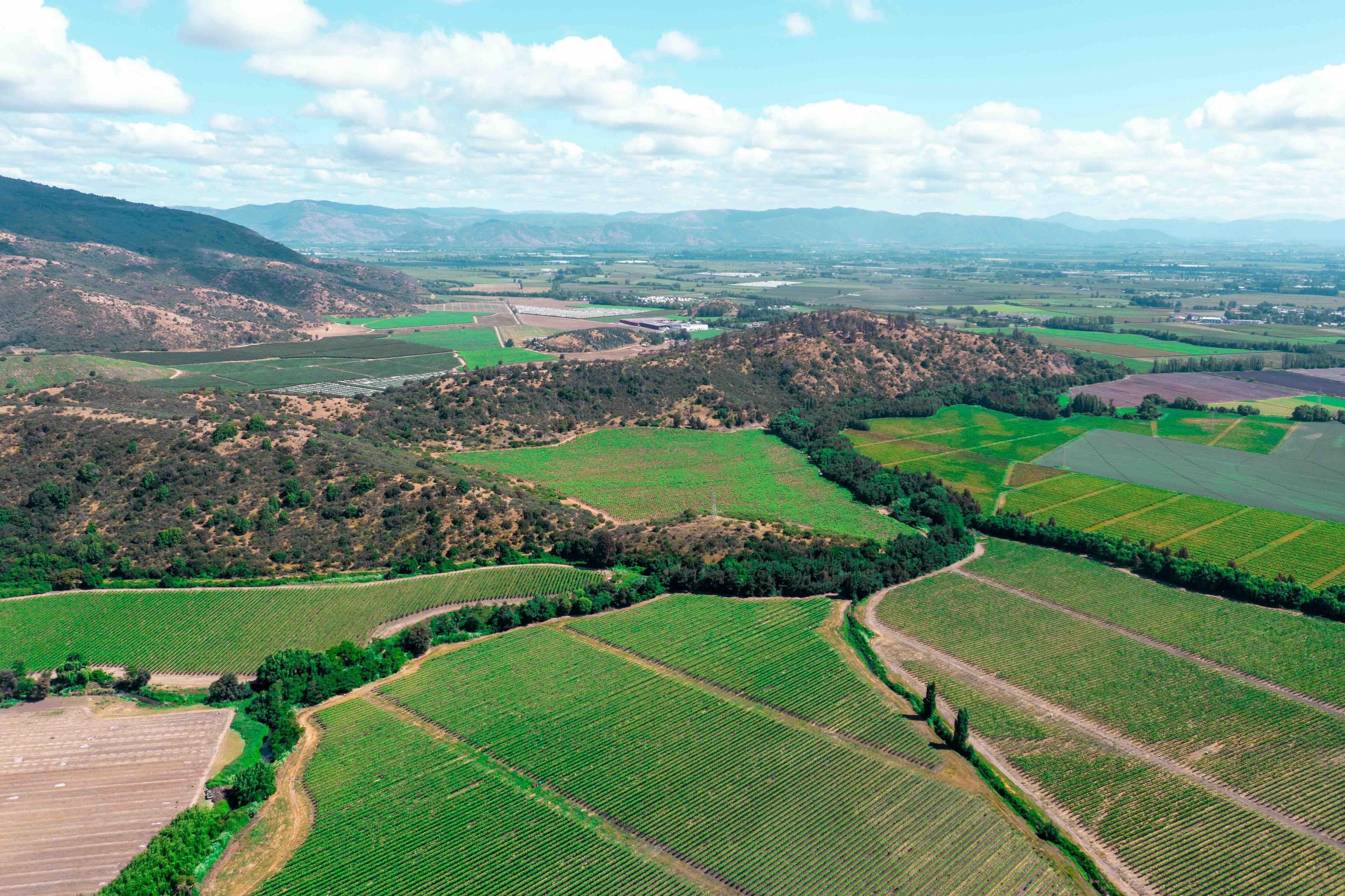 How embedding sustainability in its business strategy is key for VSPT