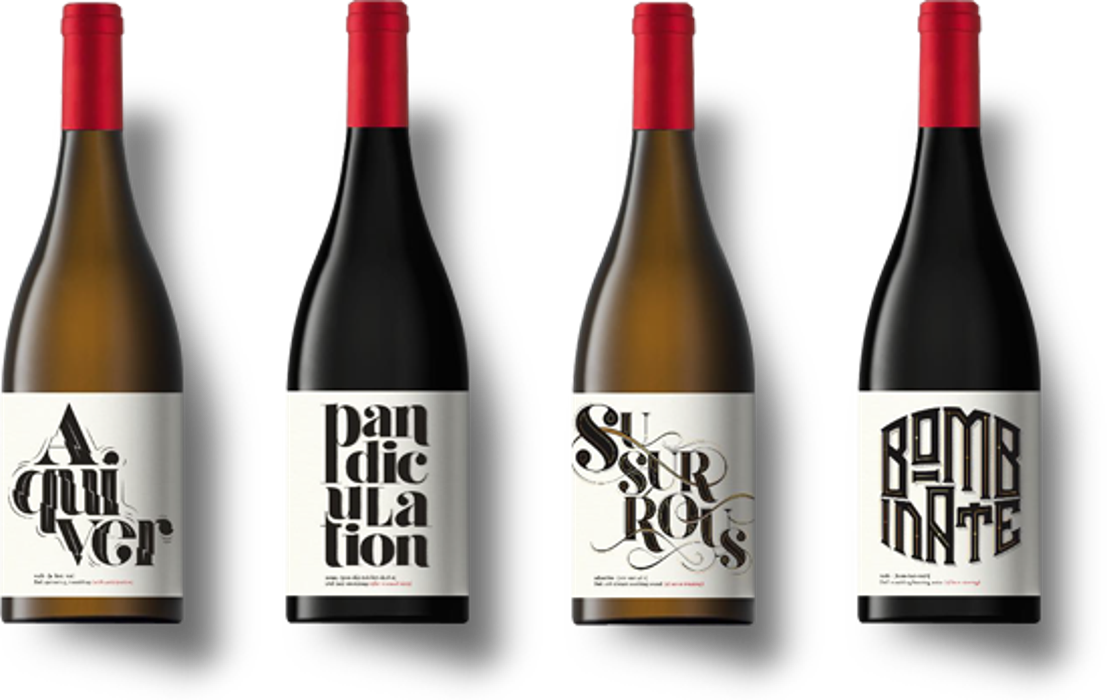 How Rascallion Wines was devised and brought to market