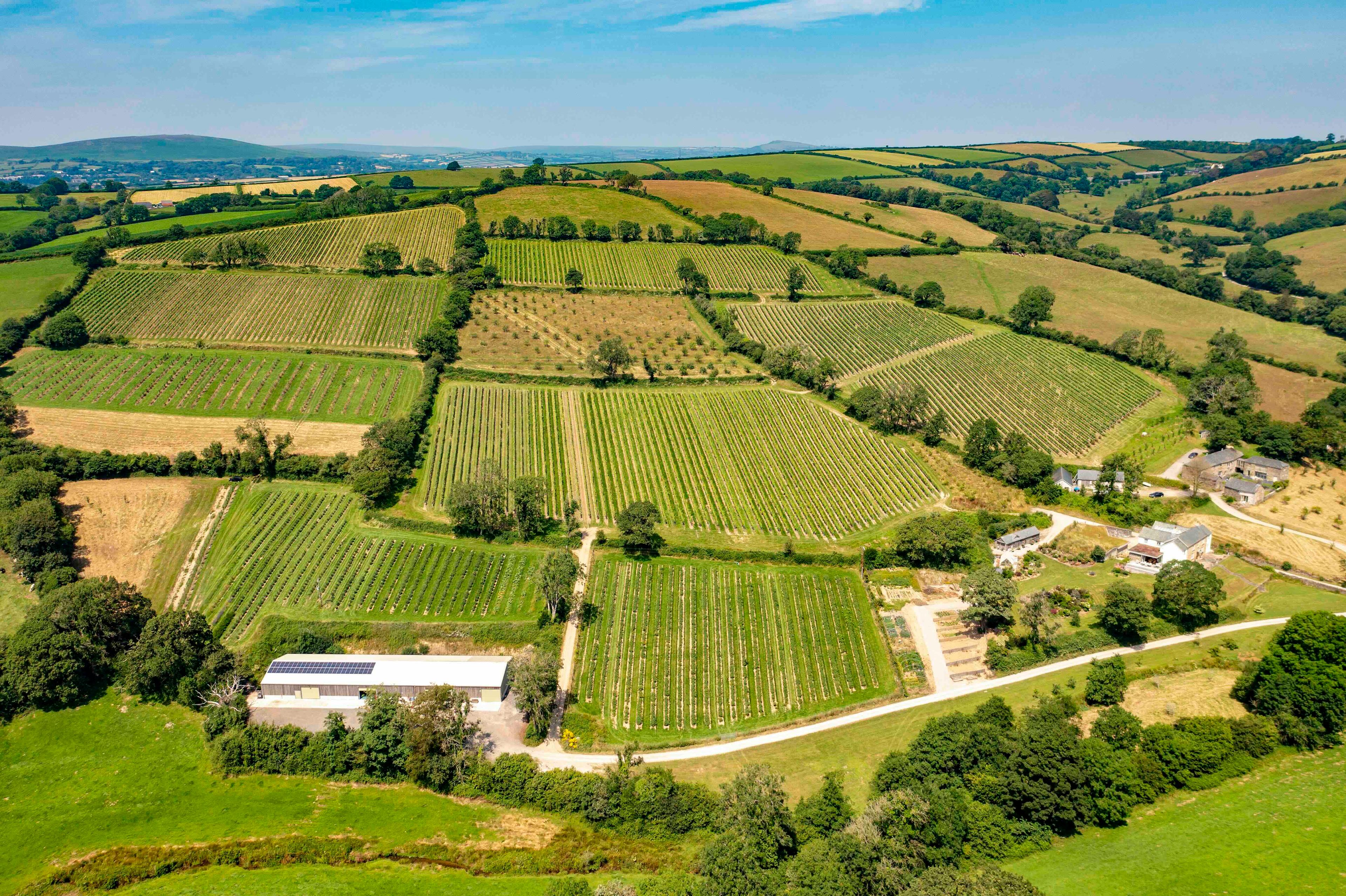 Calancombe Estate's English wine & spirits success from scratch
