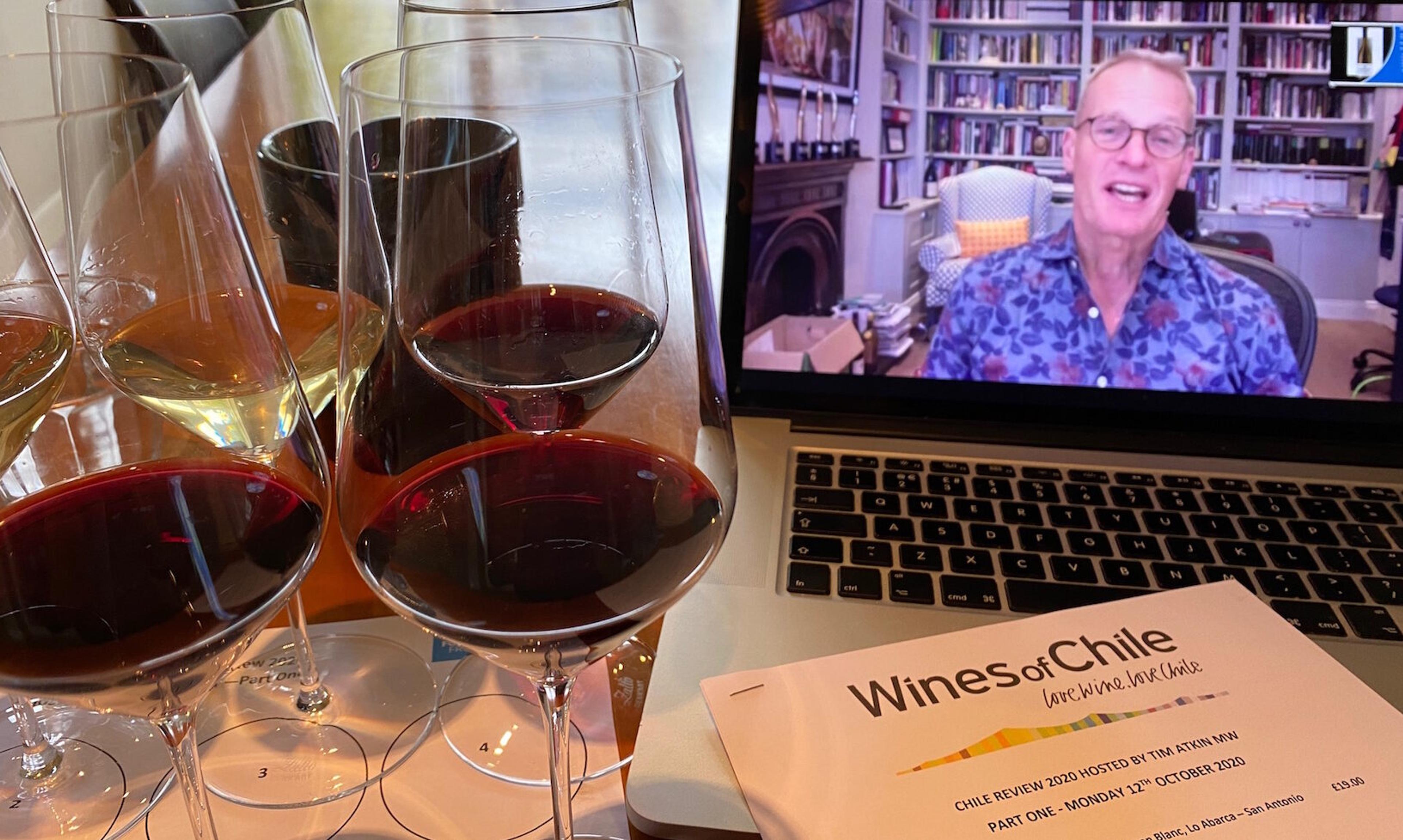 Diversity links Tim Atkin’s 16 best wines from ‘new Chile’
