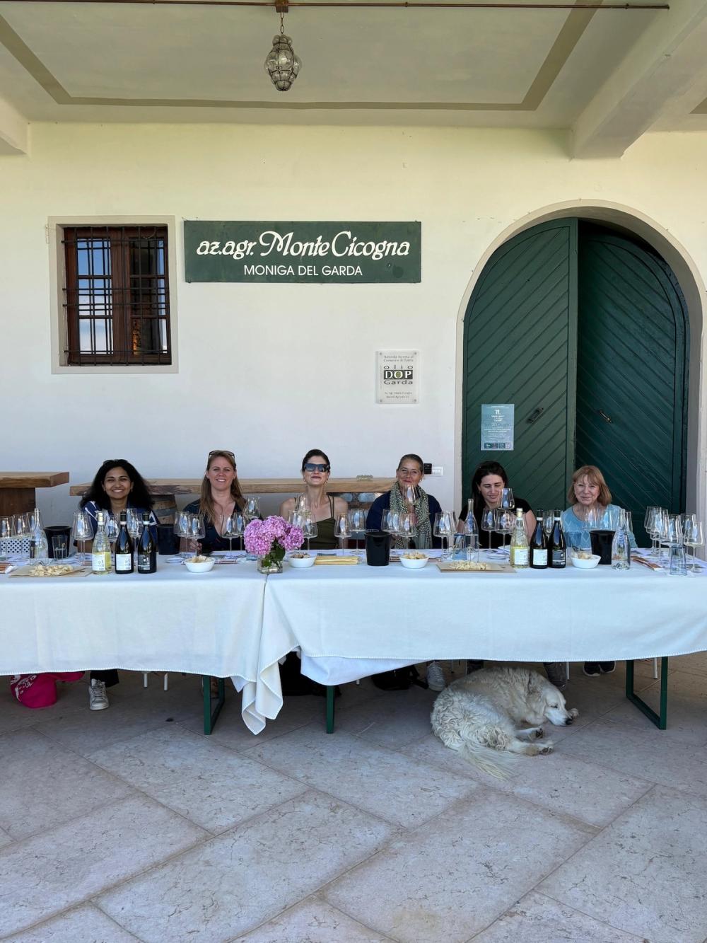 Lugana wines