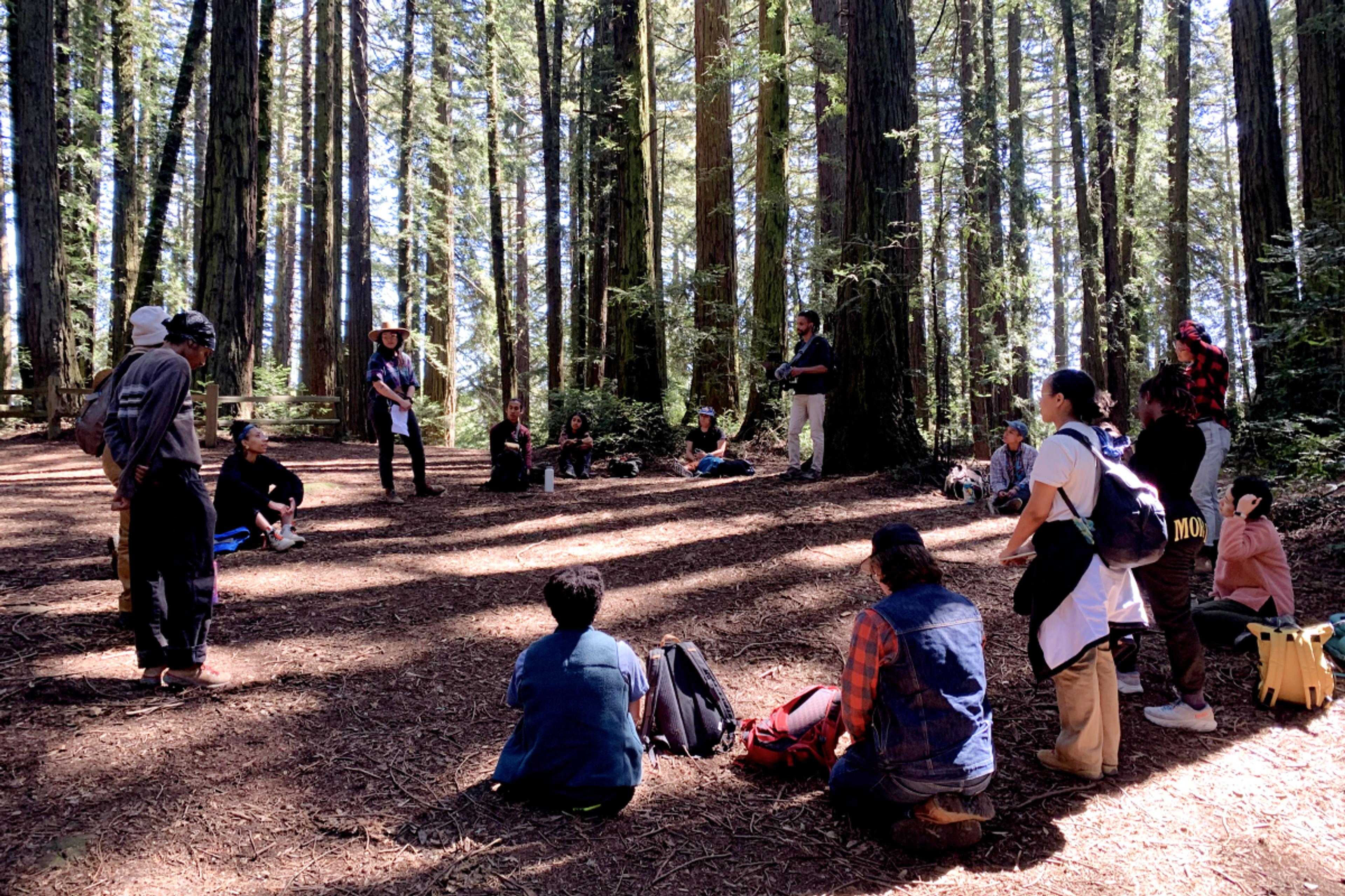 Liberation Ecology