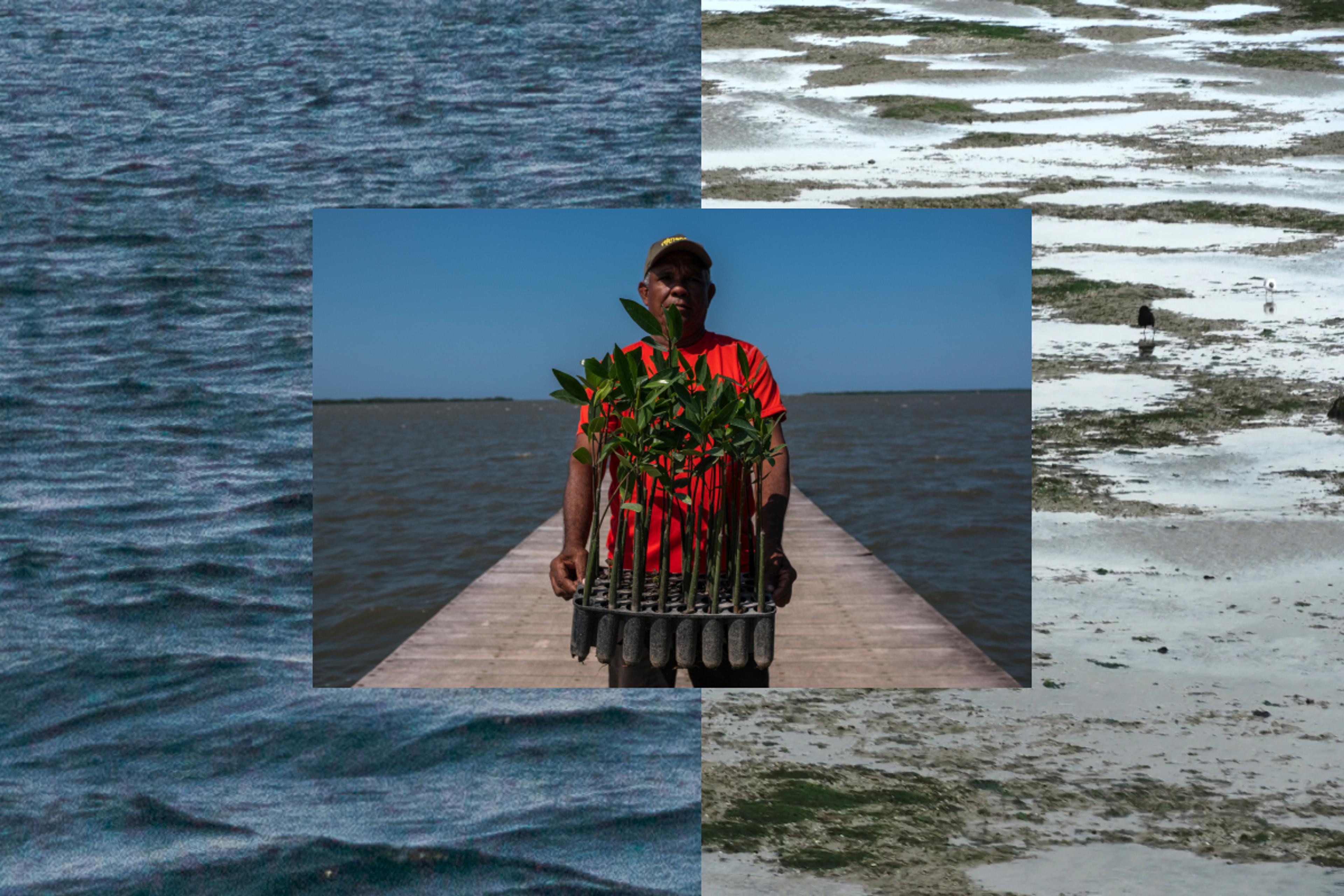 Tidal Diaries