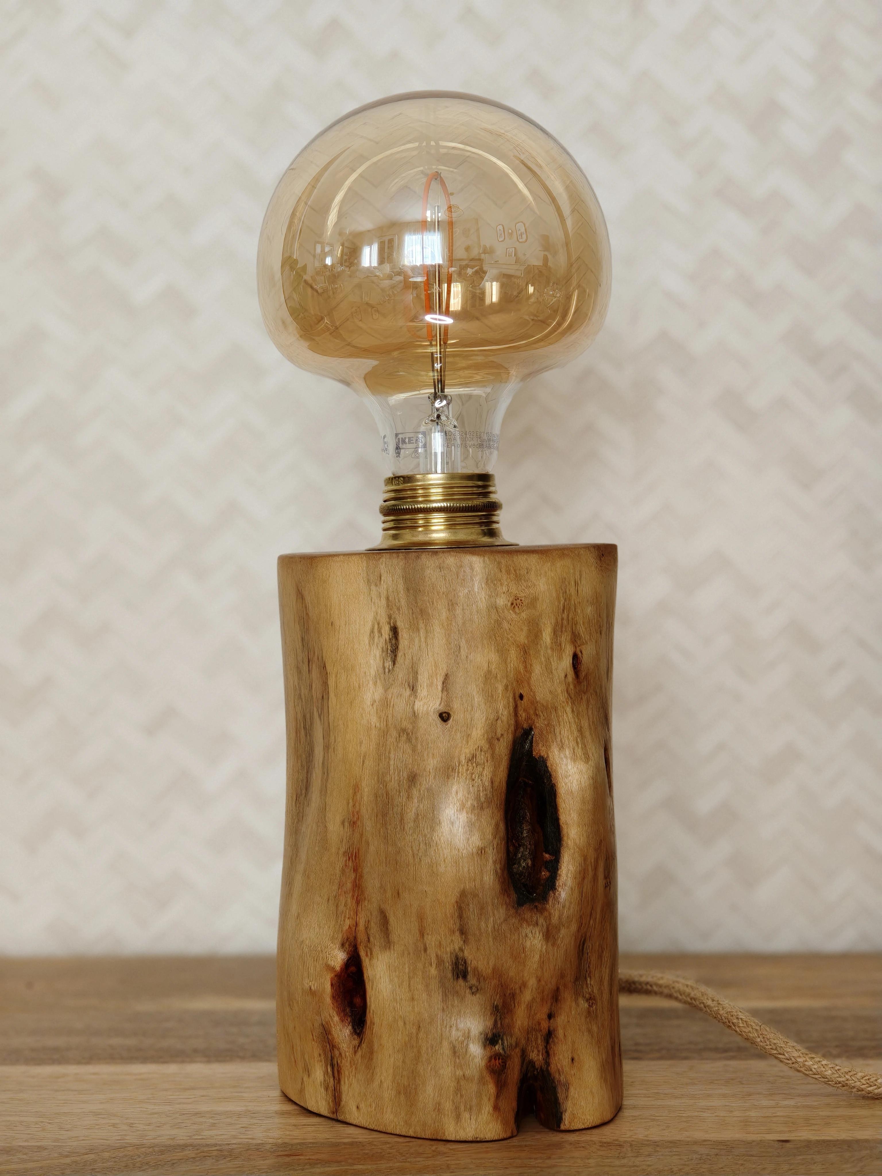 Eucalyptus bulb, eucalyptus lamp