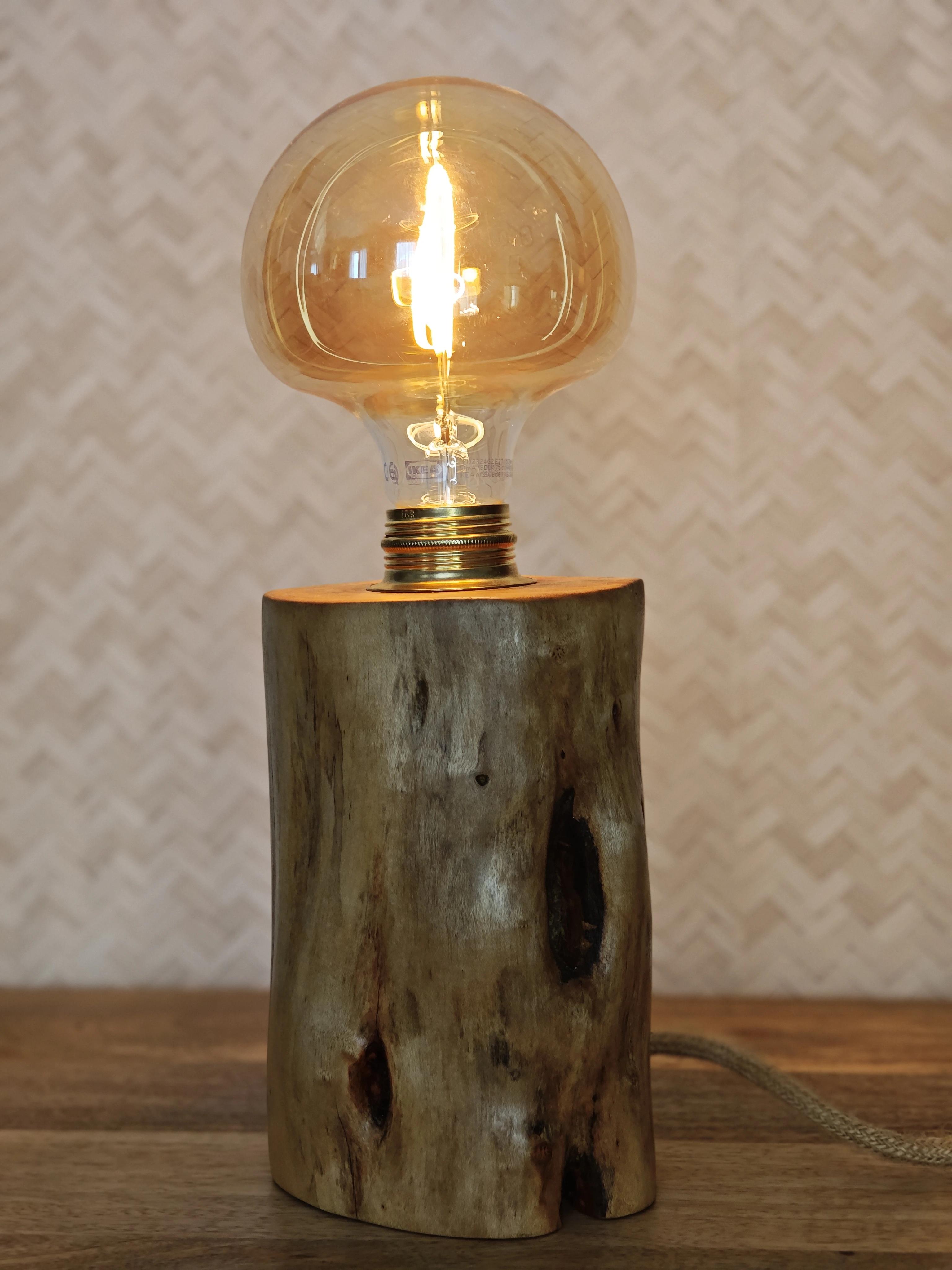 Eucalyptus bulb — Thumbnail
