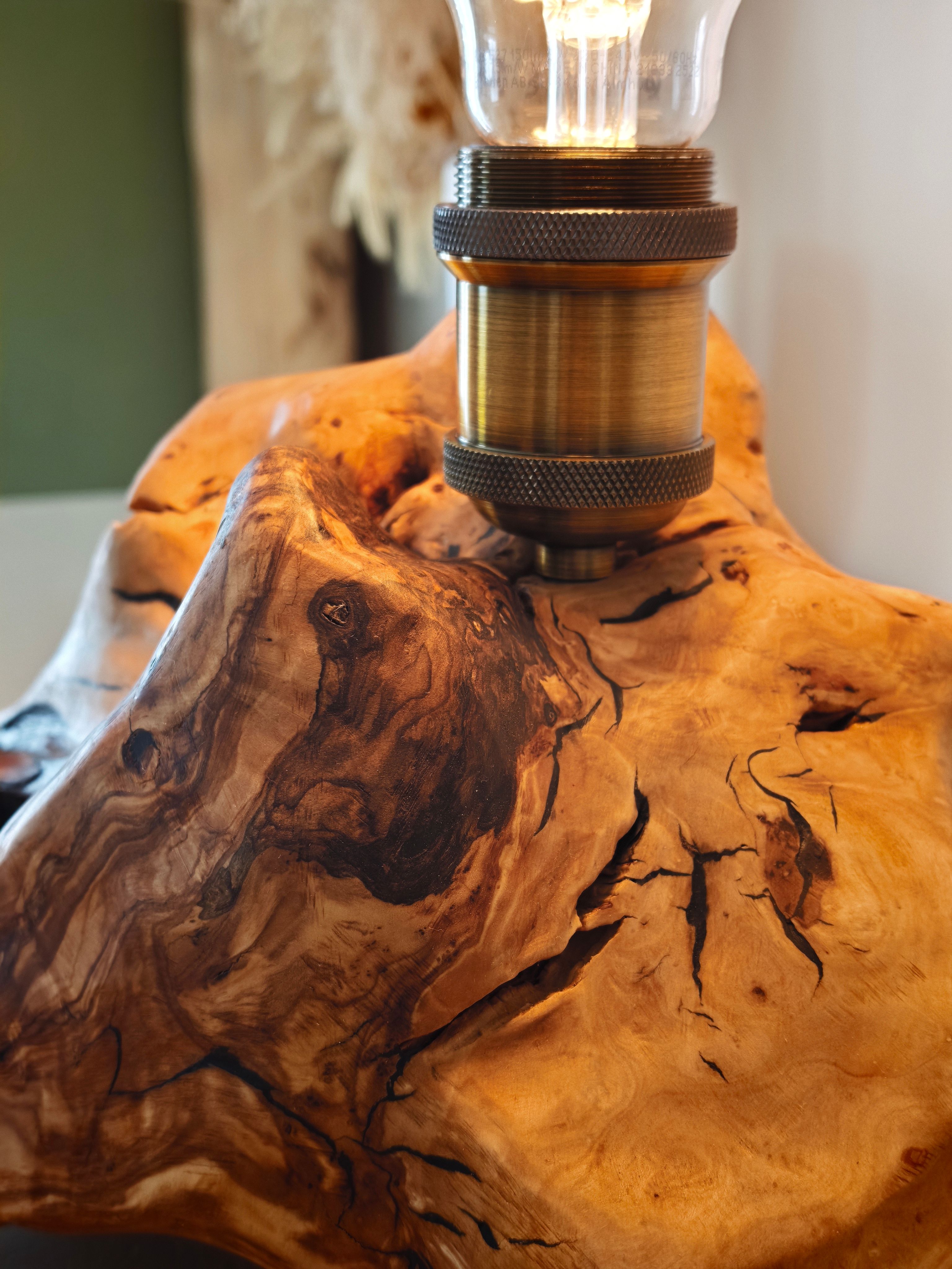 Root on olive table — Thumbnail