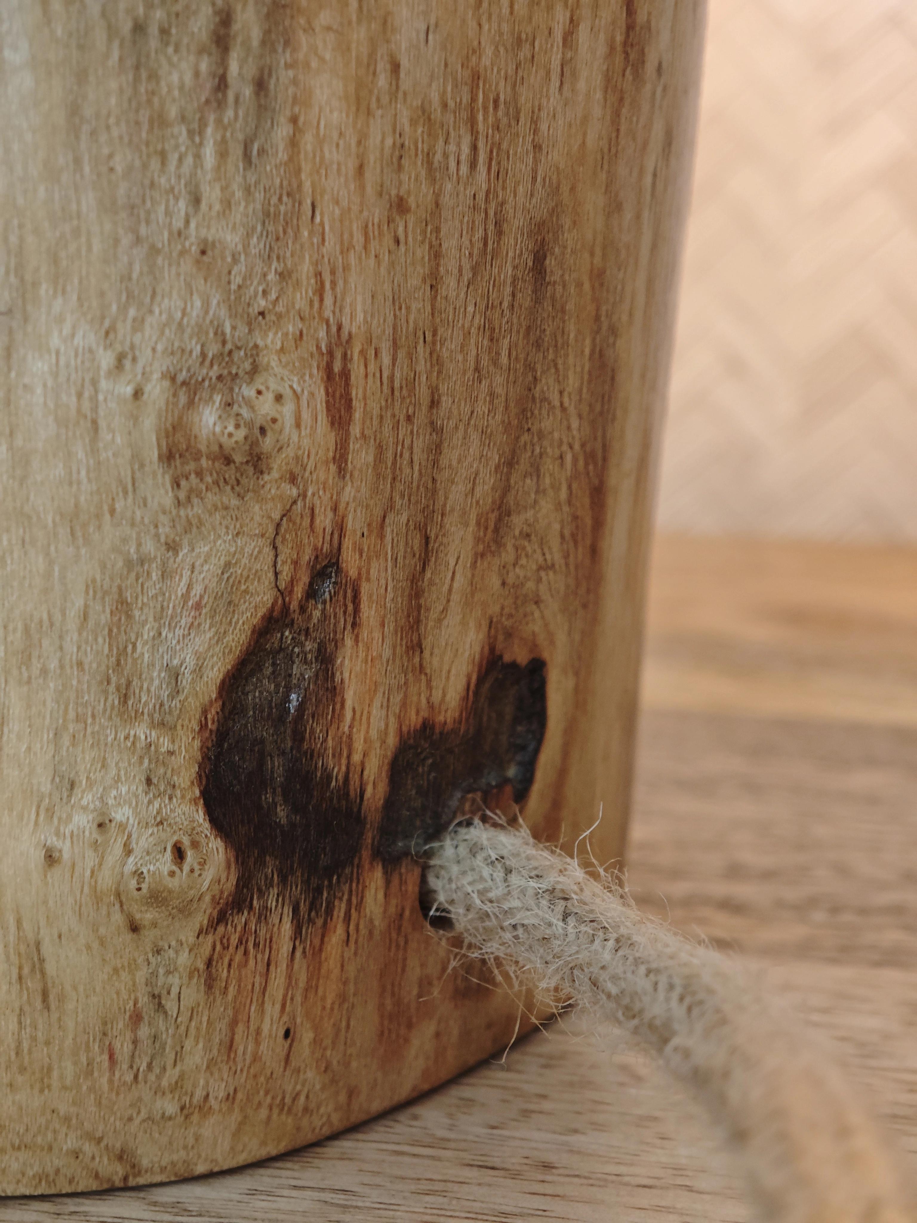 Eucalyptus bulb — Thumbnail