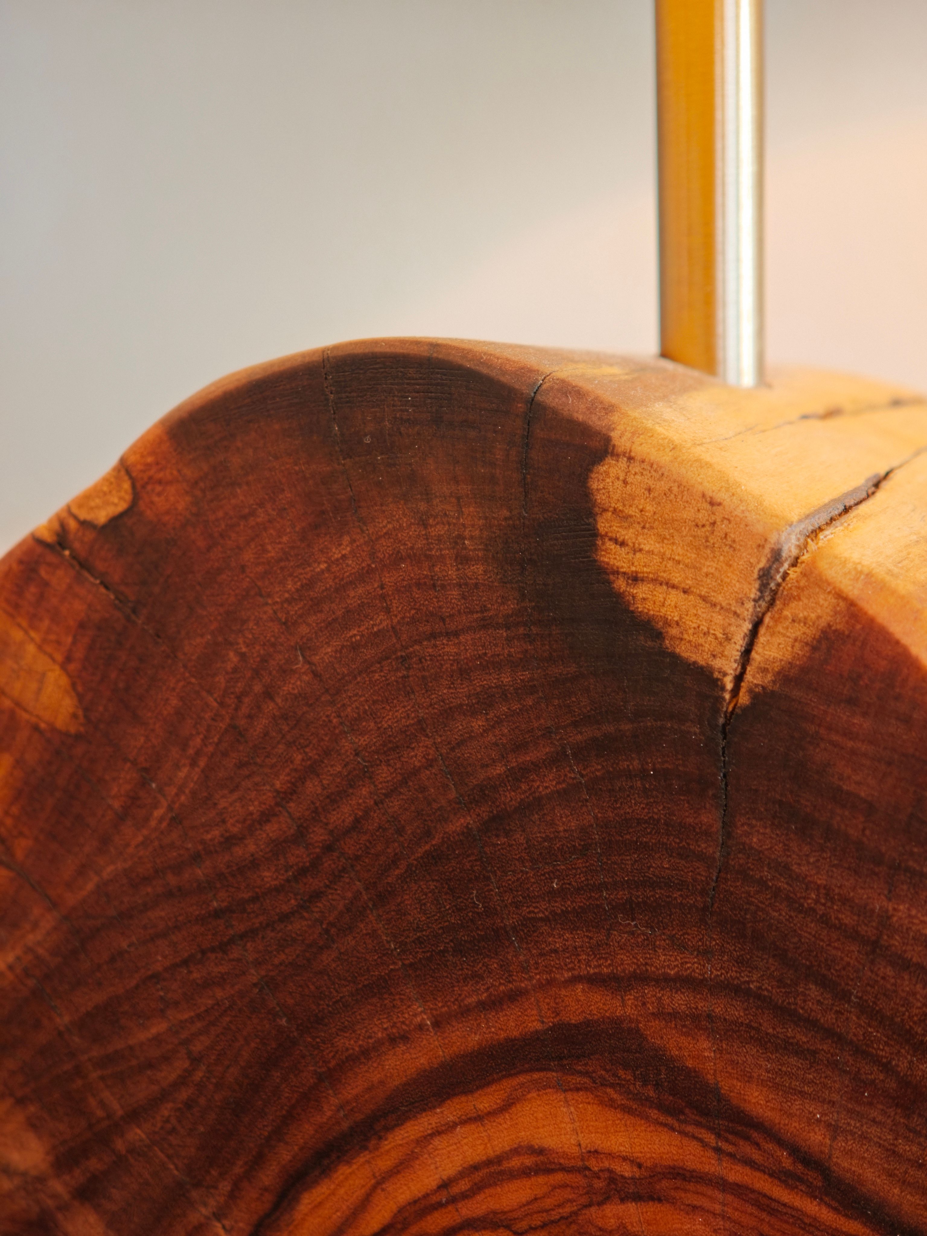 Large veined olive tree — Thumbnail