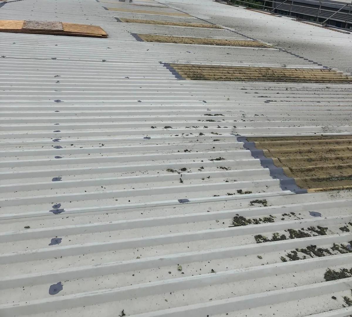 Moss and silt across a dirty metal roof before cleaning, with sealed fixings and stained rooflights