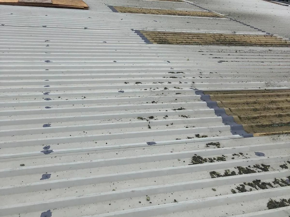 Moss and silt across a dirty metal roof before cleaning, with sealed fixings and stained rooflights