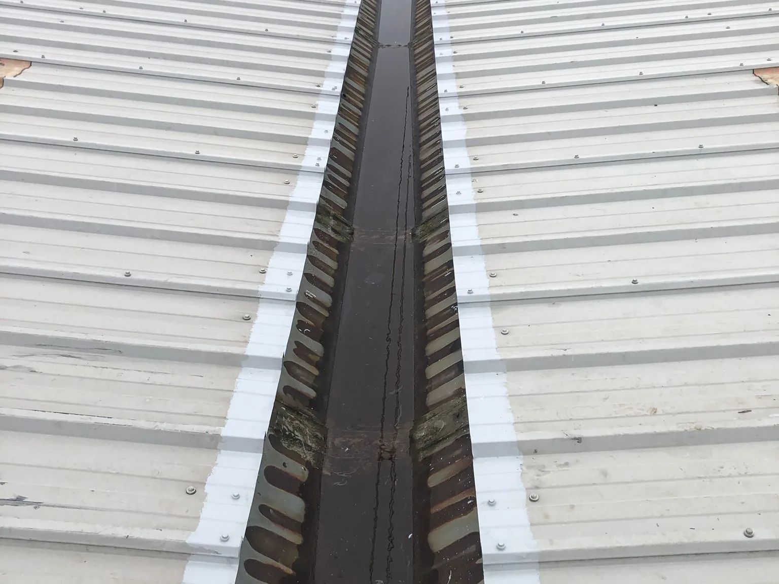 A valley gutter between two coated roof slopes, with white coating carried along the cut edge of every sheet
