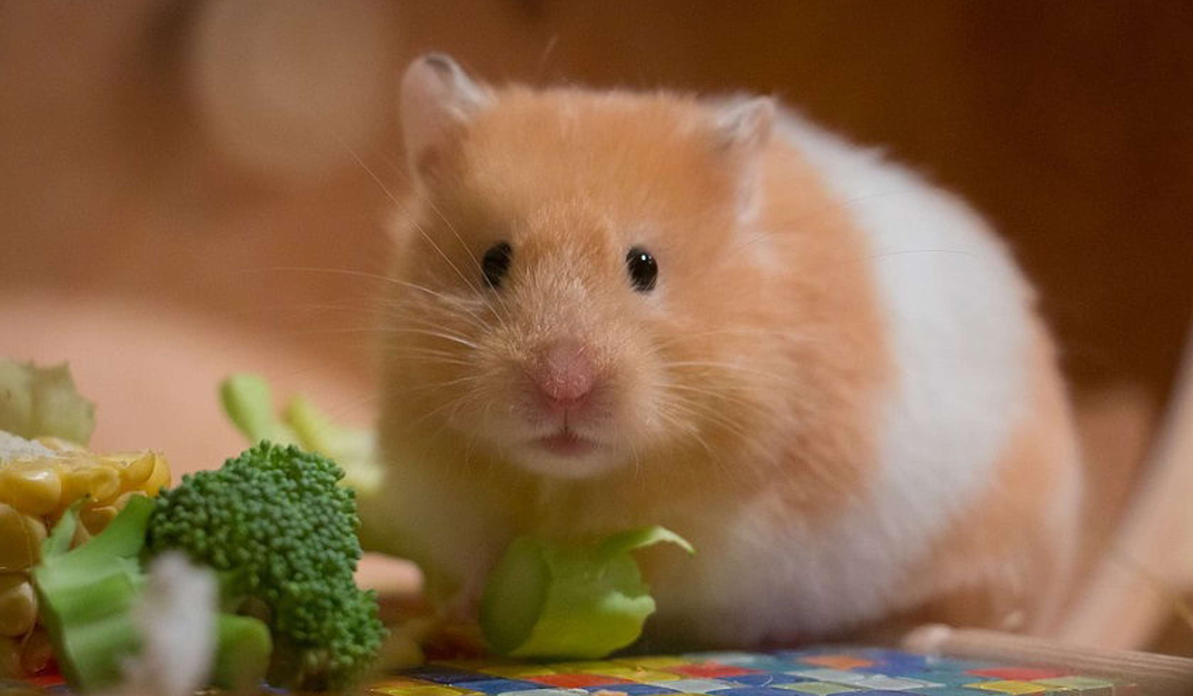 10 Aspects of What Makes a Business Work (And Why They’re Essential)