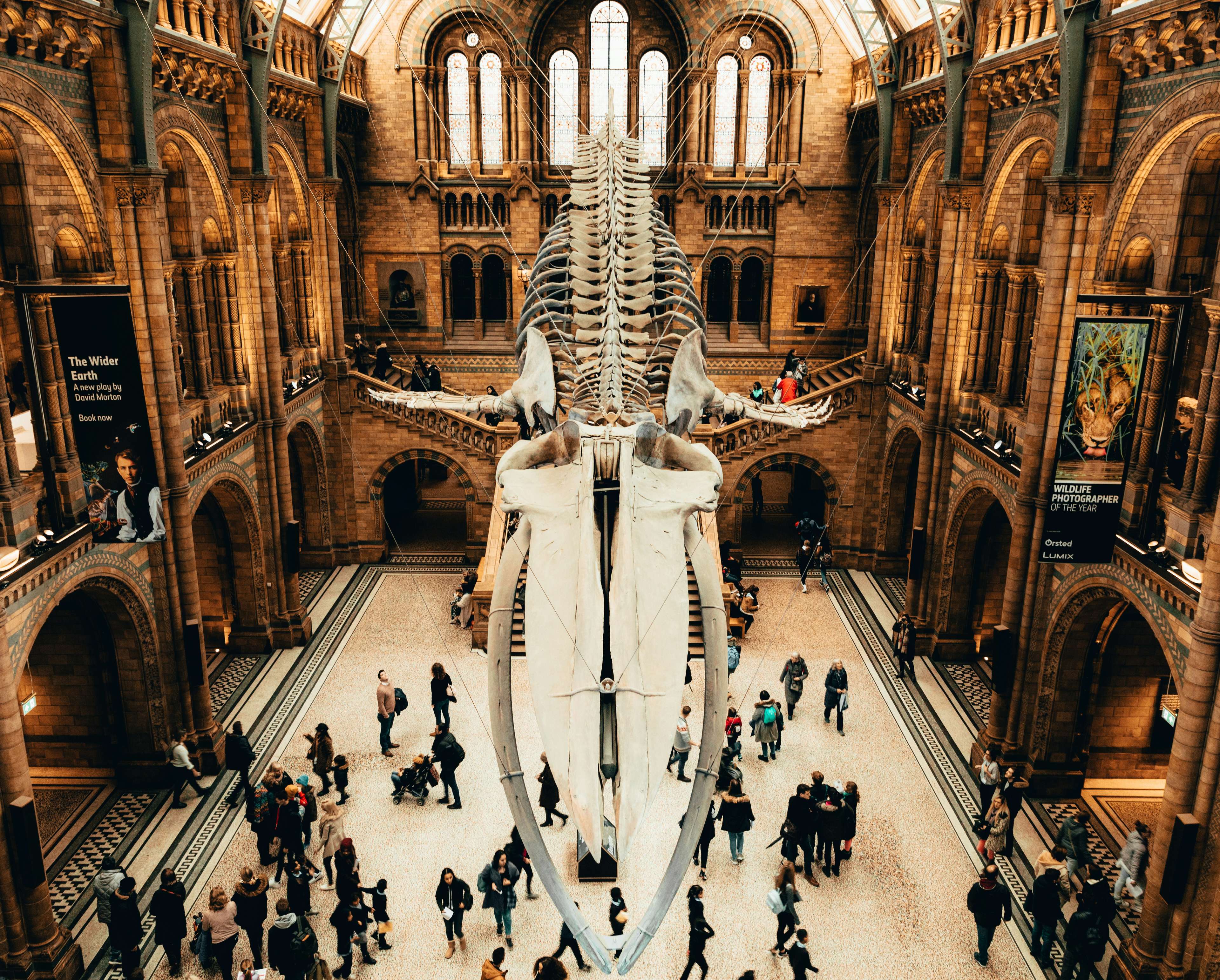 London Natural History Museum