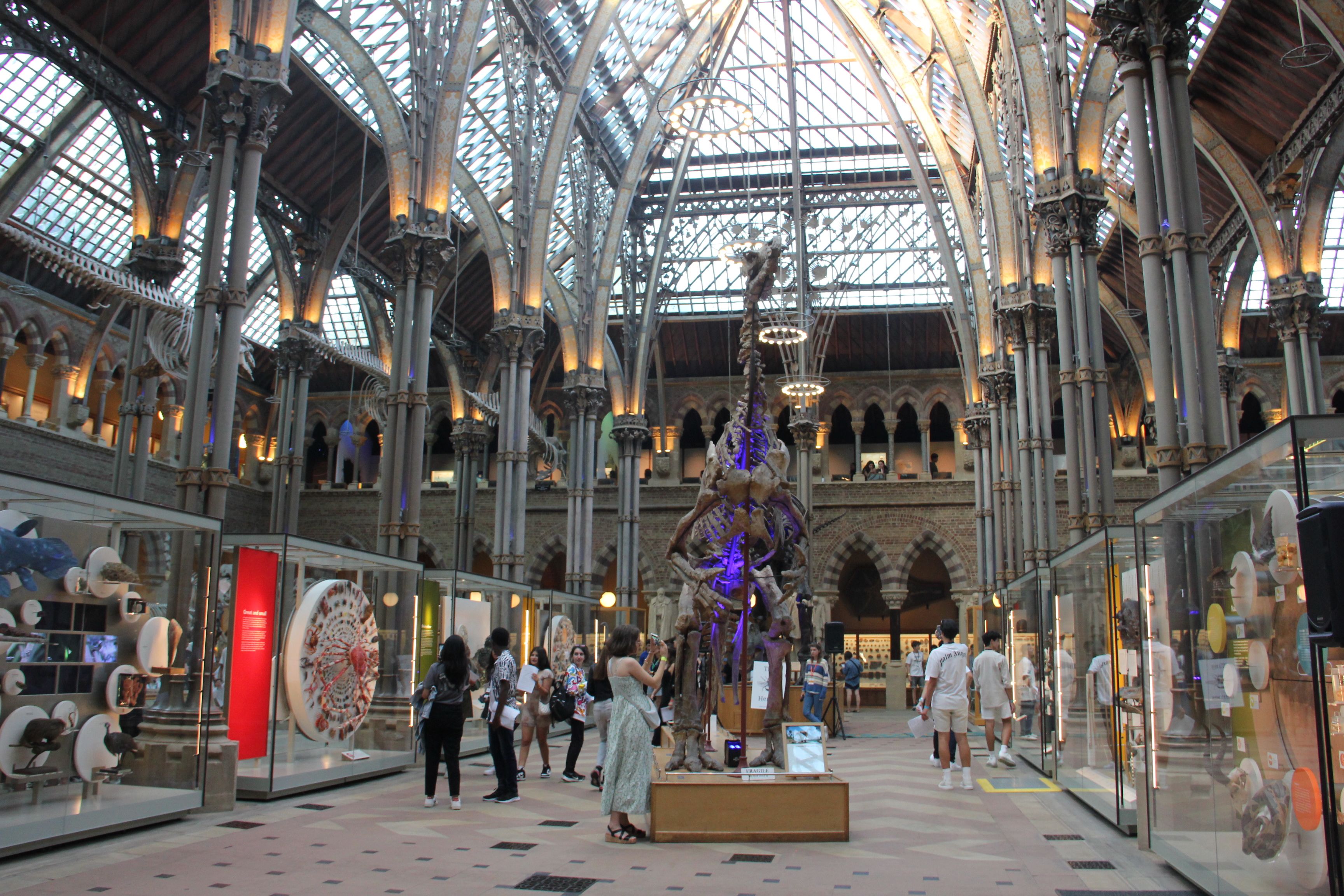 Oxford Royale in the Natural History Museum
