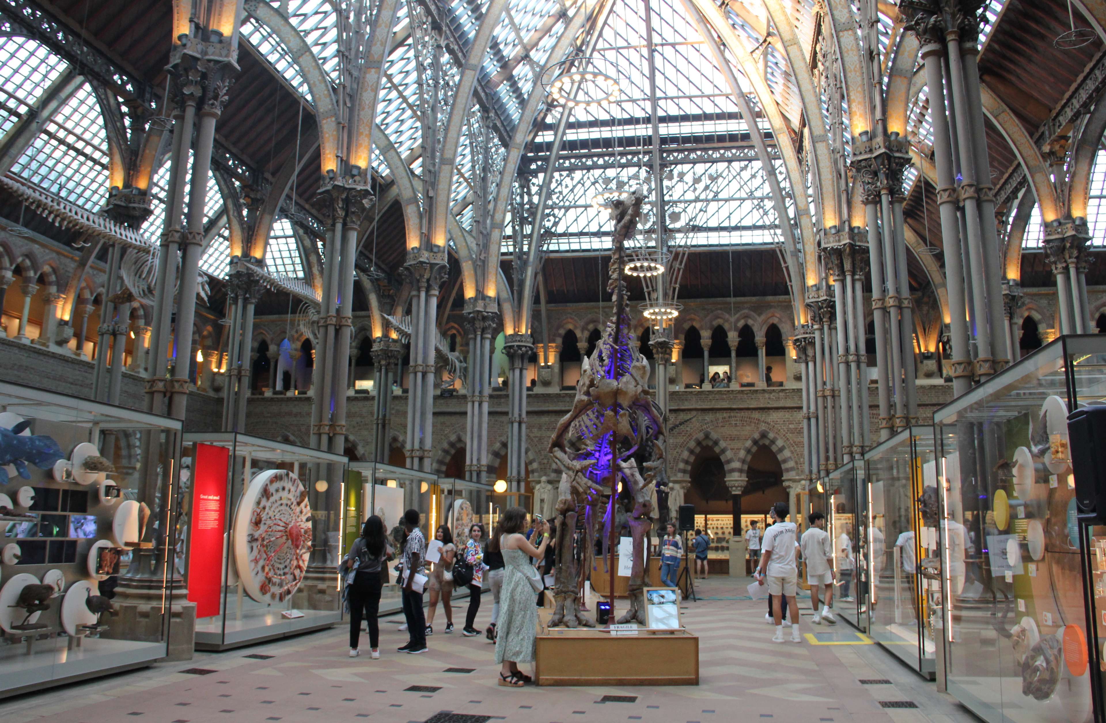 Oxford Royale in the Natural History Museum