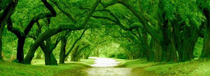 10 Things to Focus On at School Beyond Your Grades