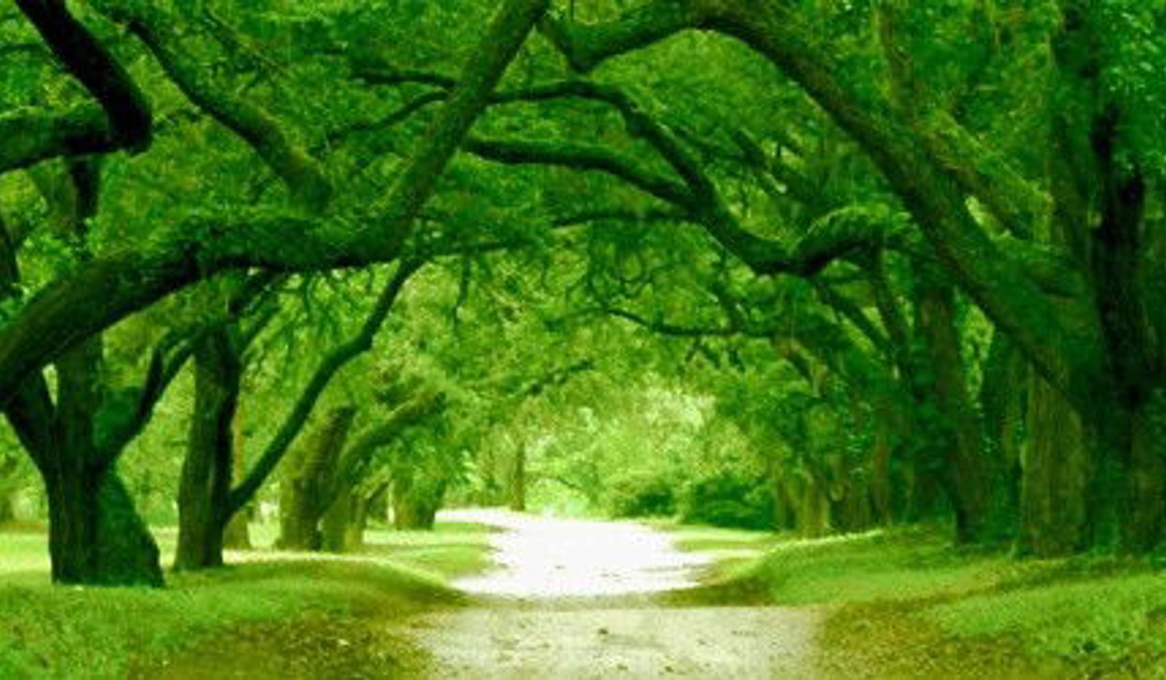 10 Things to Focus On at School Beyond Your Grades