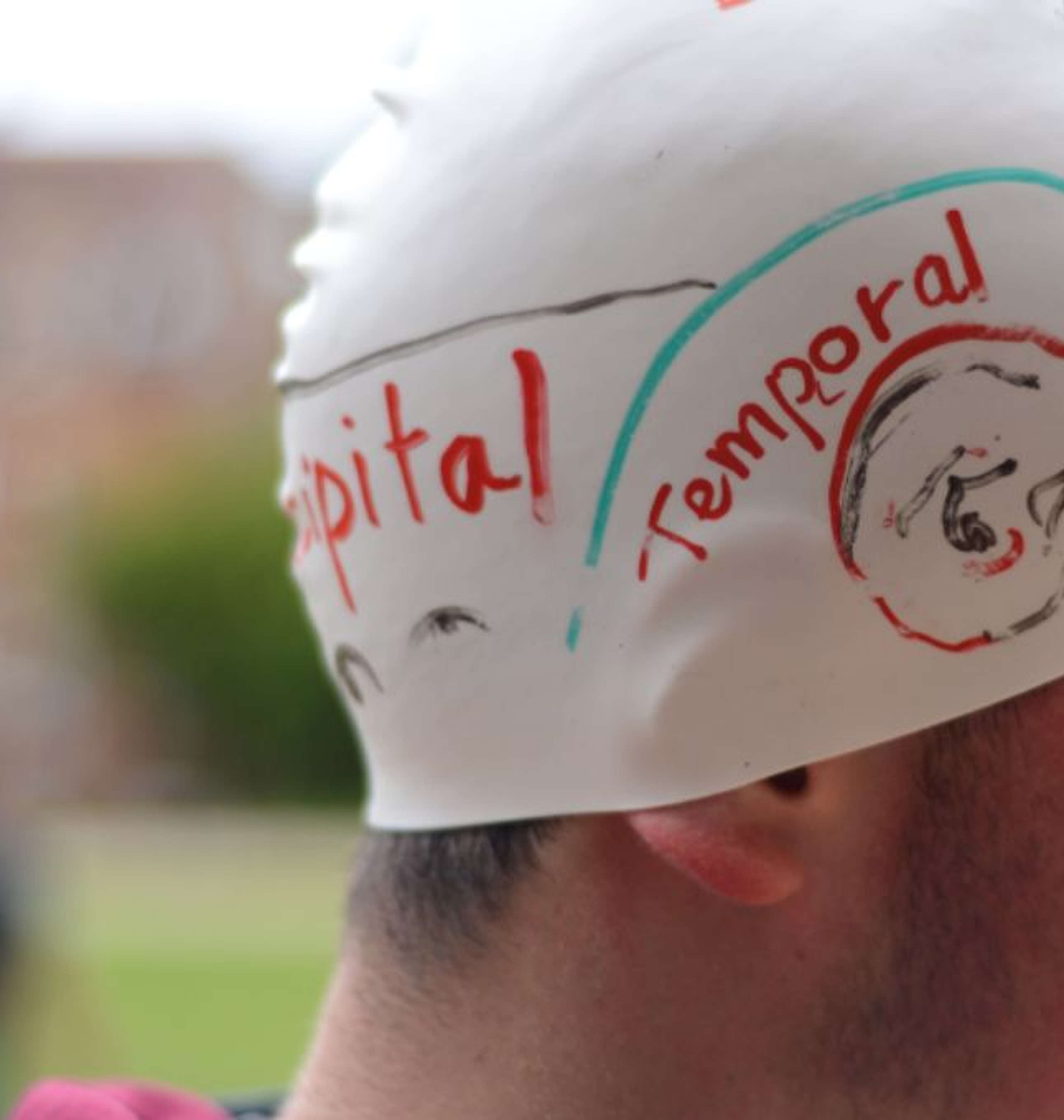 Oxford Royale students discussing a psychology project in Cambridge