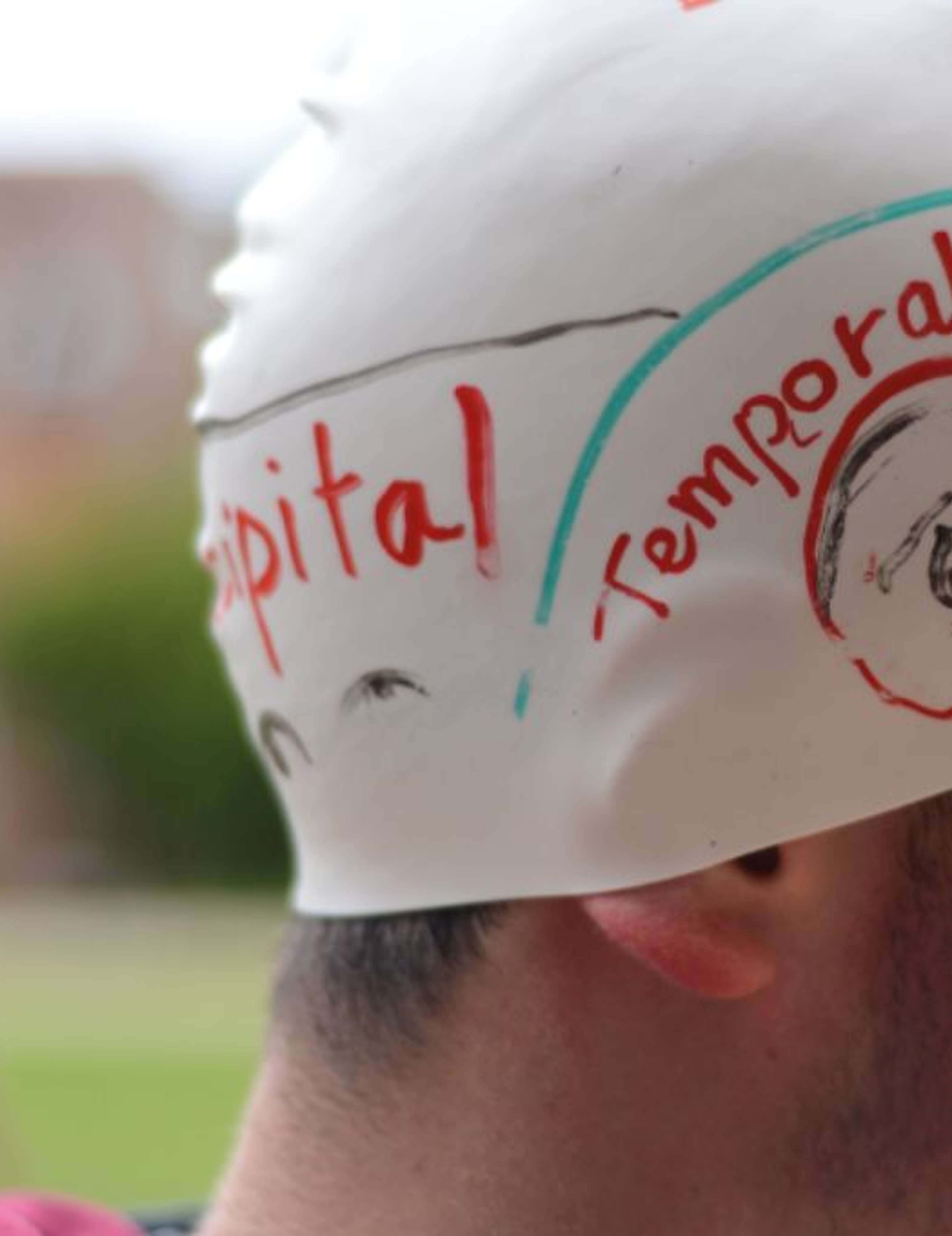 Experimental Psychology