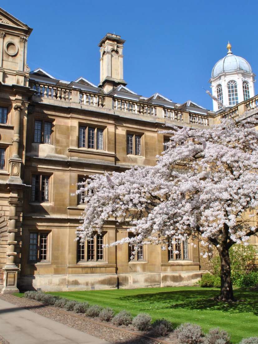 Cambridge: Ages 12-15